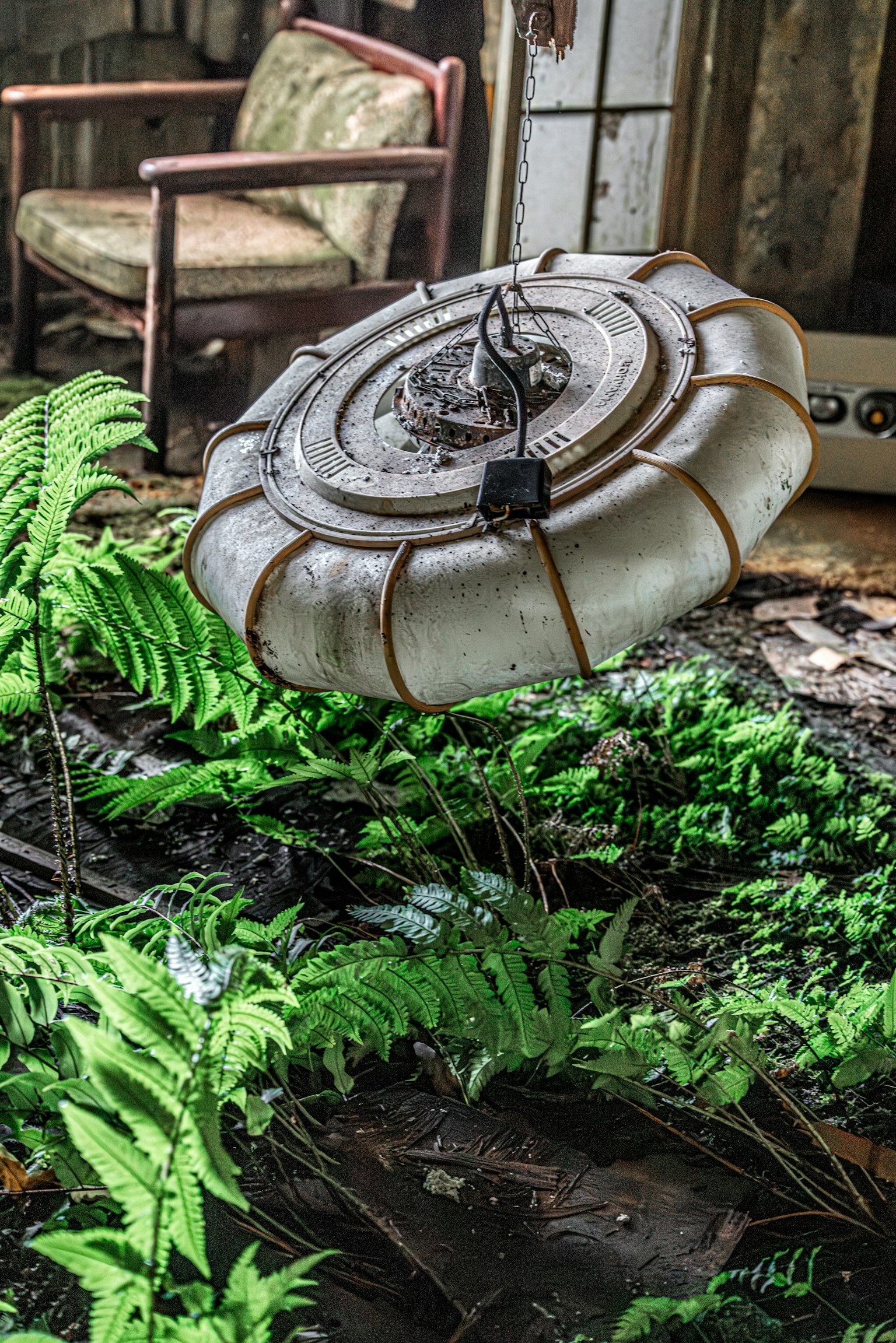 古い部屋の中に浮かぶランプと緑のシダ植物がある