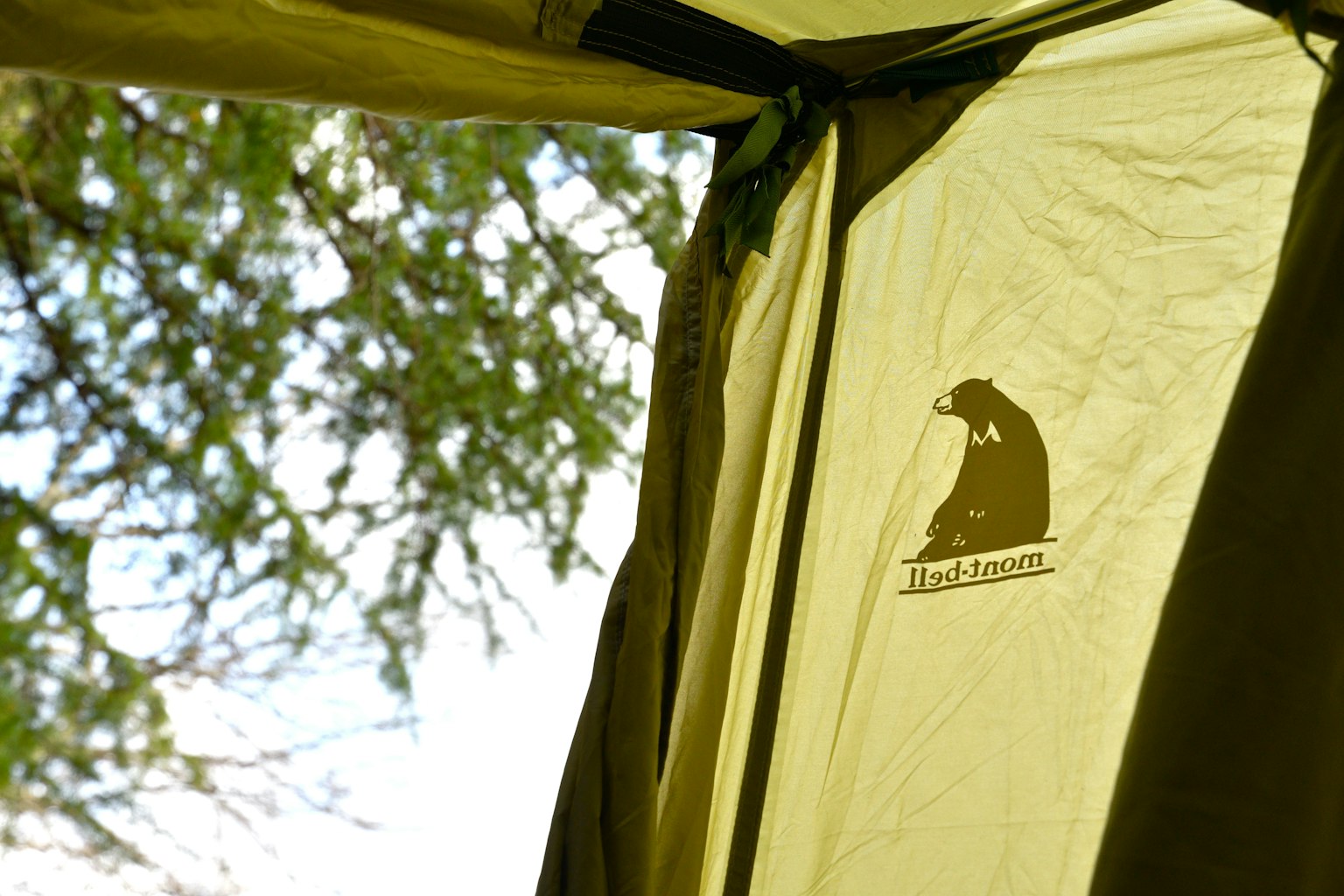 Interior view of a tent showing an animal logo and natural light filtering in