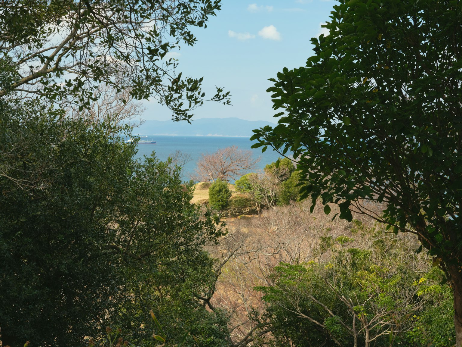 Scenic view of blue ocean framed by lush green trees