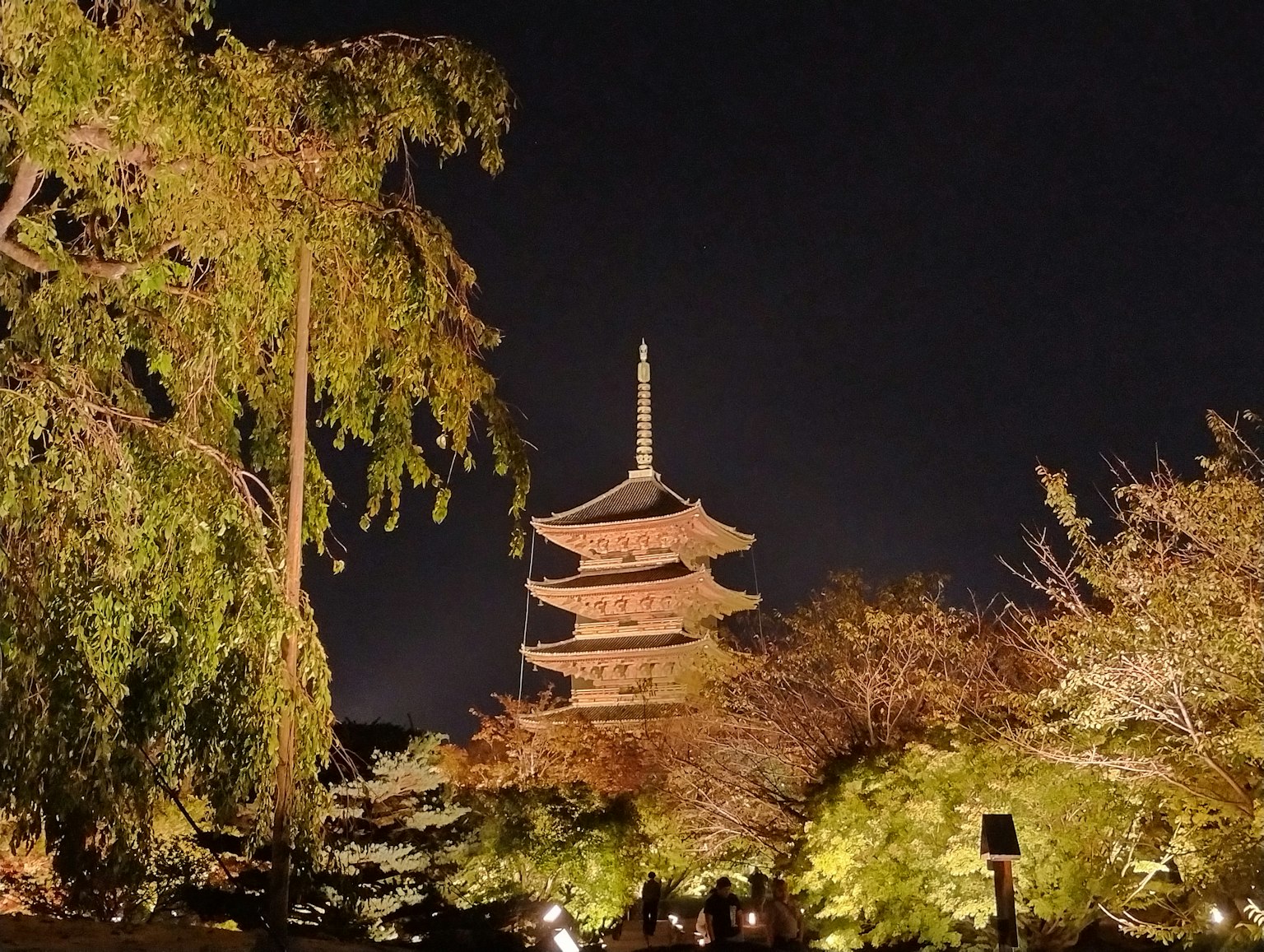 Pagoda lima lantai yang diterangi di malam hari dikelilingi oleh kehijauan