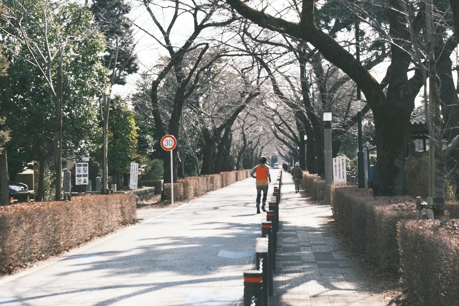 一個人走在樹木稀疏的道路上
