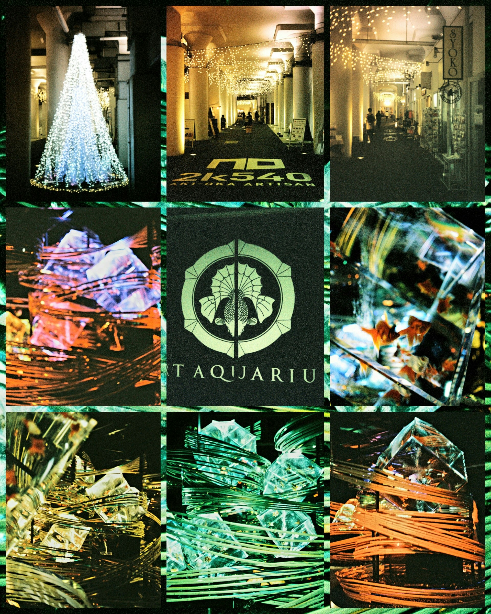 銀座のアートアクアリウムの展示パネル画像