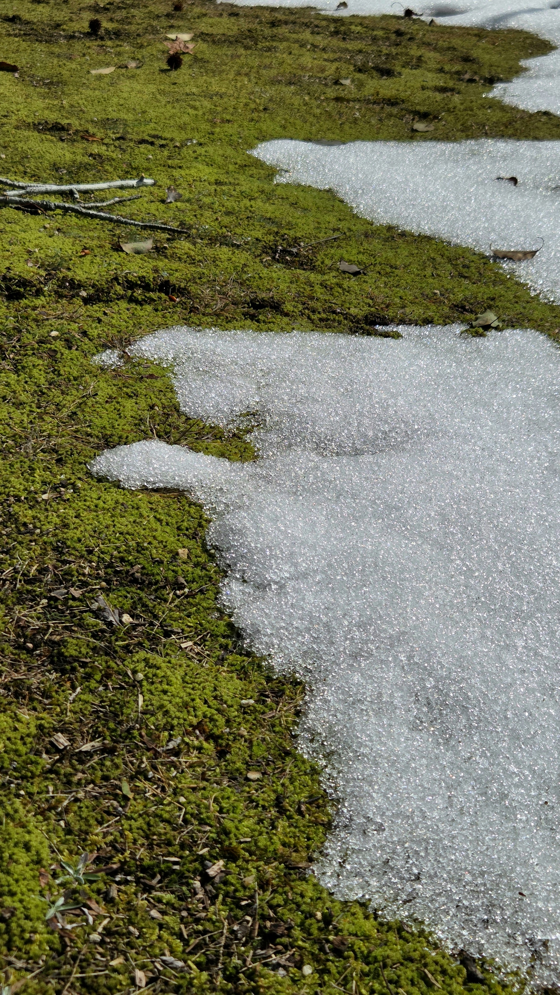 草地を流れる小さな川の水たまりと雪解けの跡