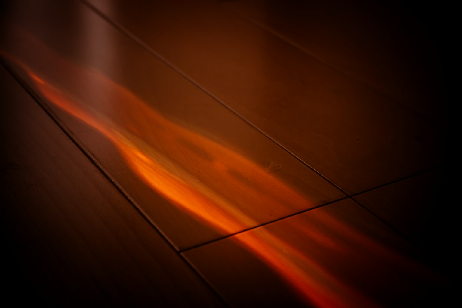 photo-kNjQ7Rznbfqk8mTIOc87-image