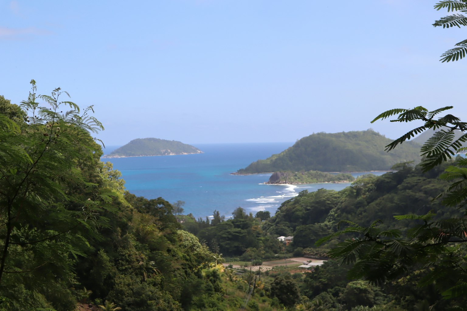 从郁郁葱葱的山坡俯瞰海洋的风景