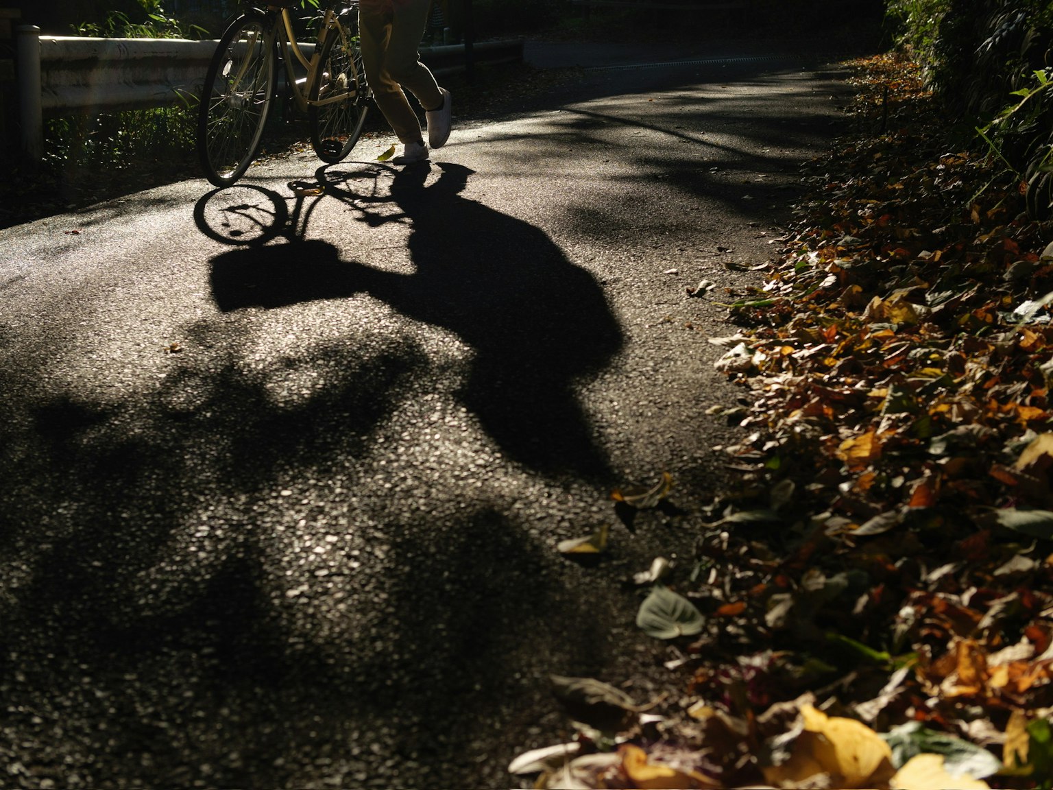L'ombra di una persona che pedala su un sentiero coperto di foglie autunnali