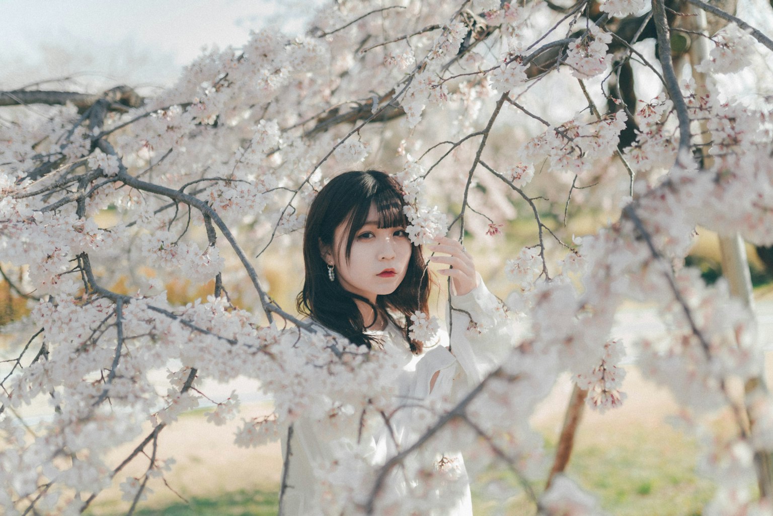 Portrait of a woman standing under a cherry blossom tree