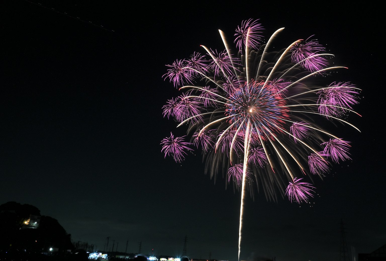 夜空中绽放的紫色烟花