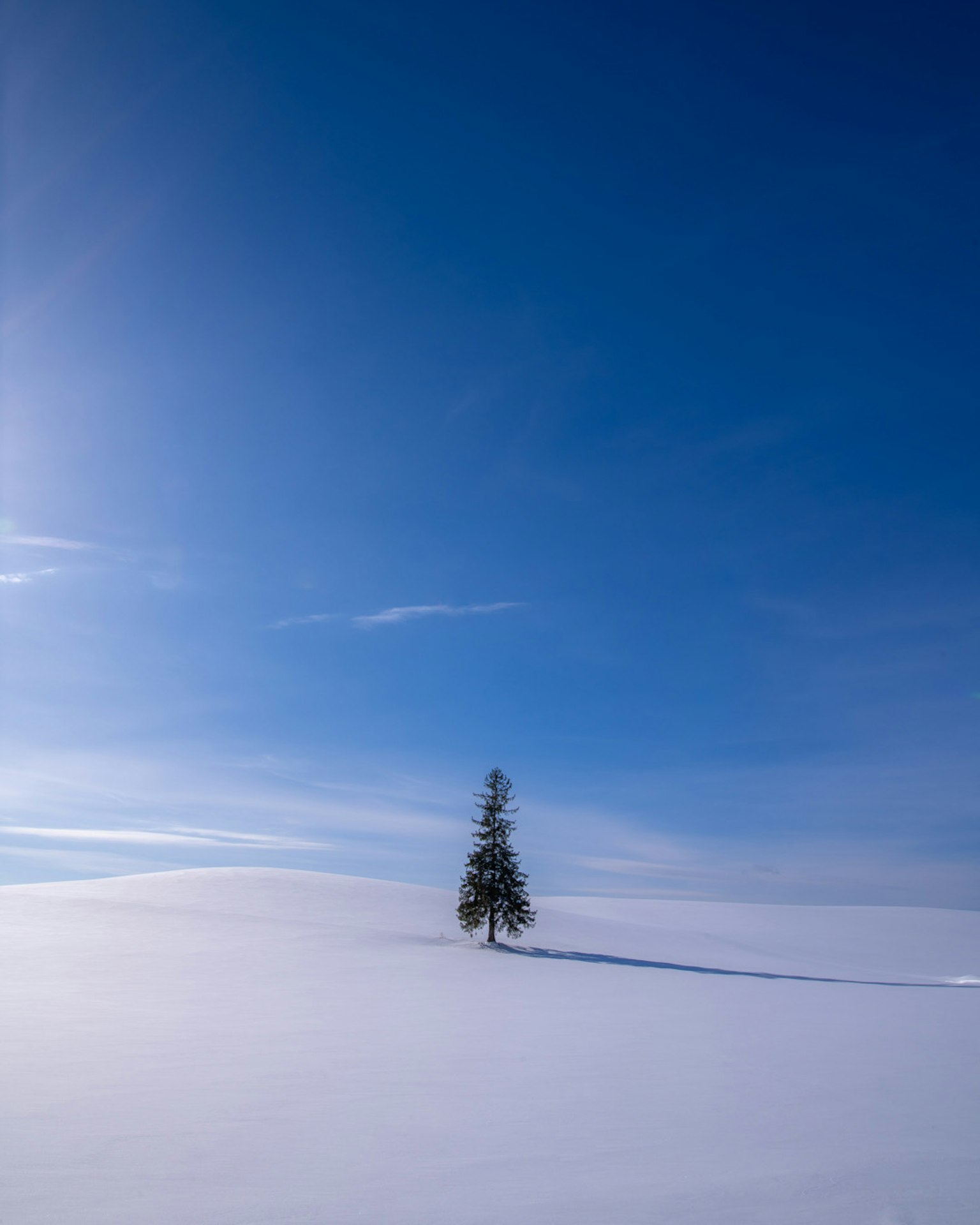 Pohon tunggal di lanskap bersalju di bawah langit biru yang cerah
