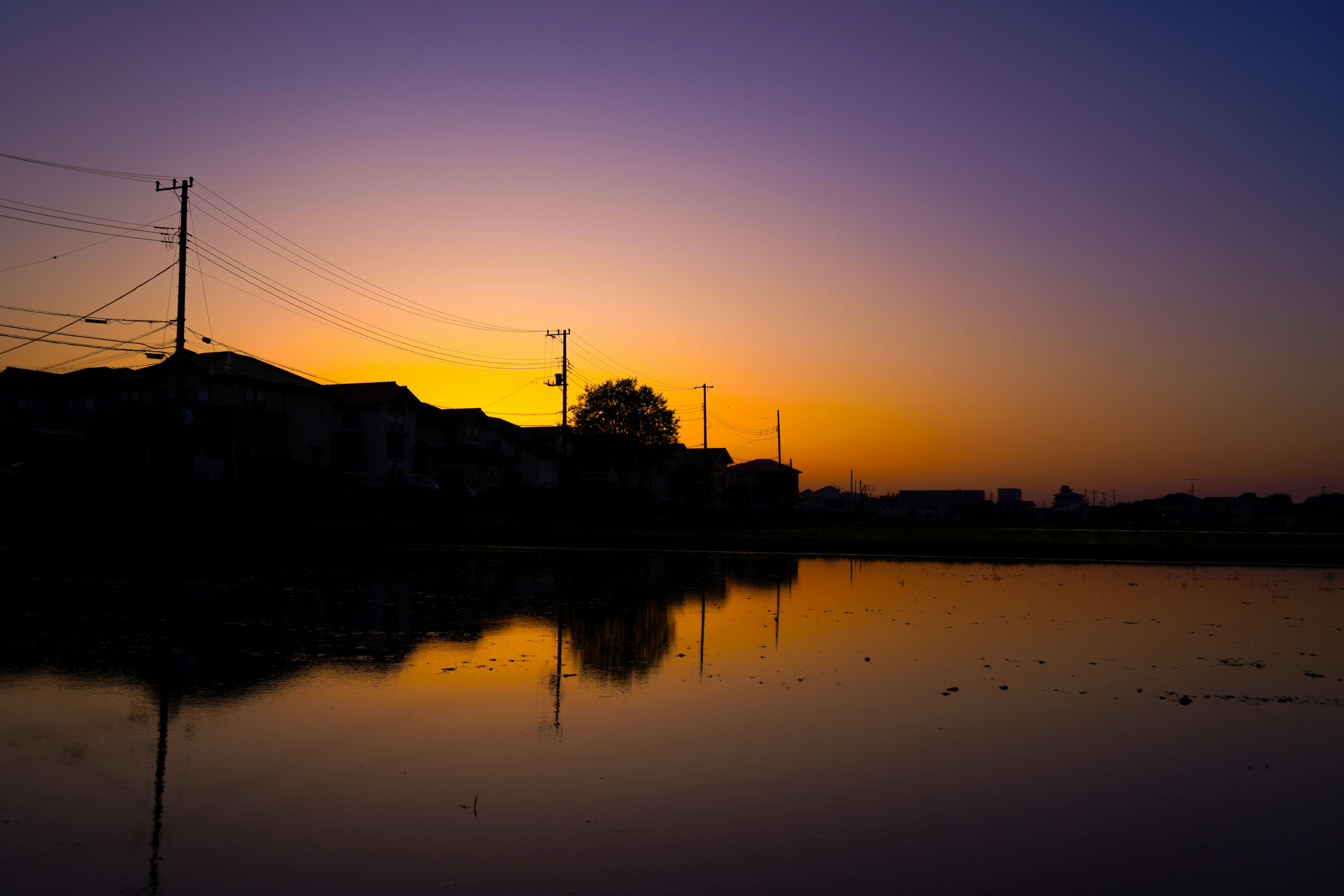 夕焼けの空と水面に映る静かな川沿いの風景