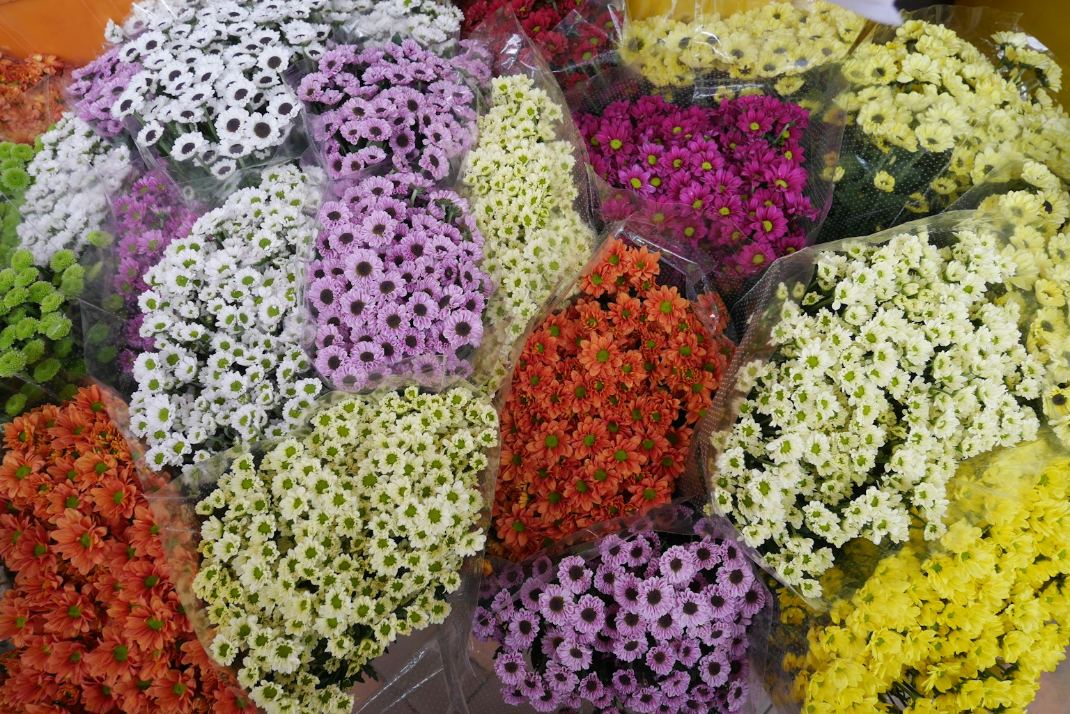 Vibrant display of assorted flower bouquets in various colors
