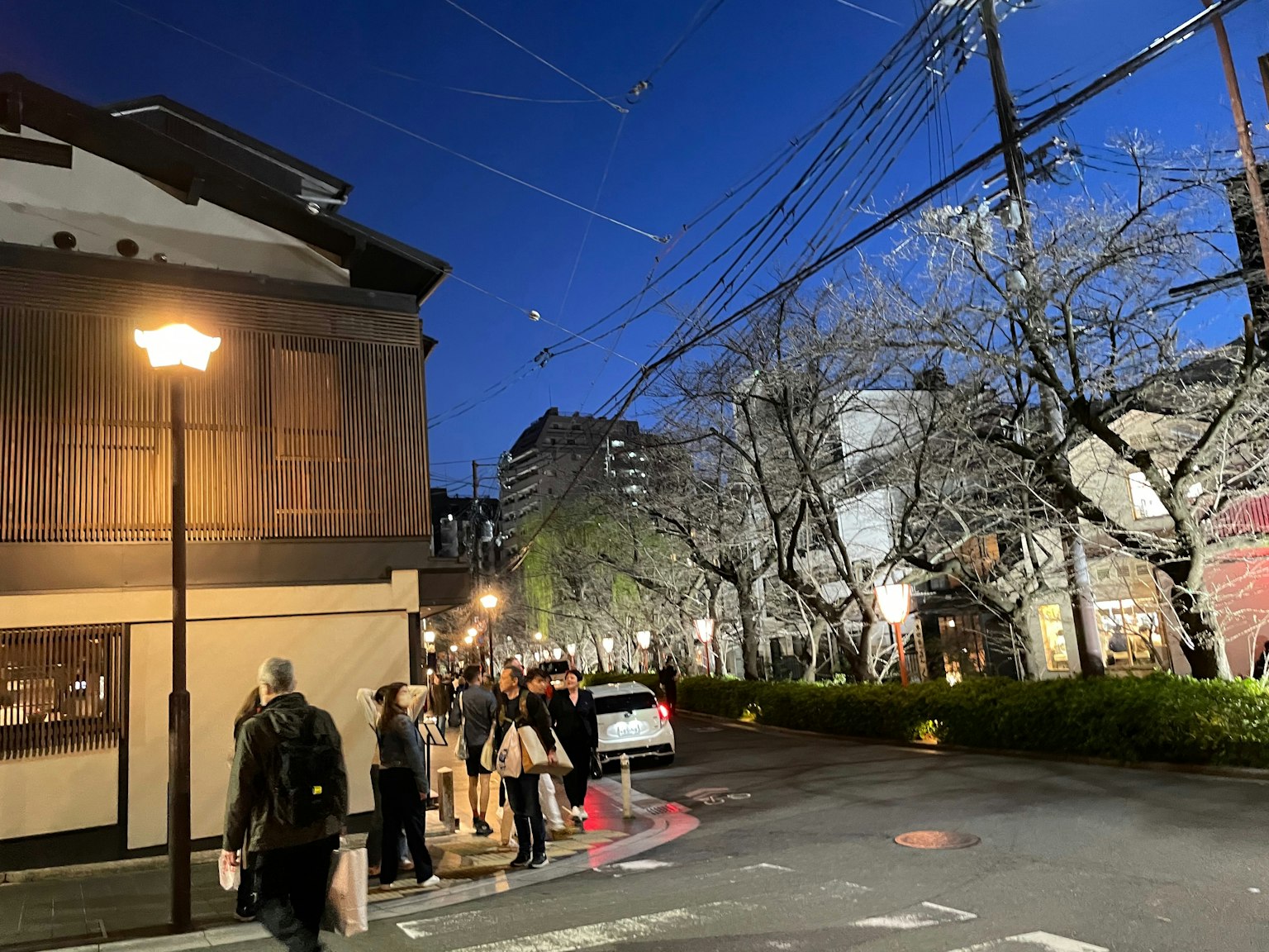 Nachtszene einer Straße mit Kirschbäumen in Japan