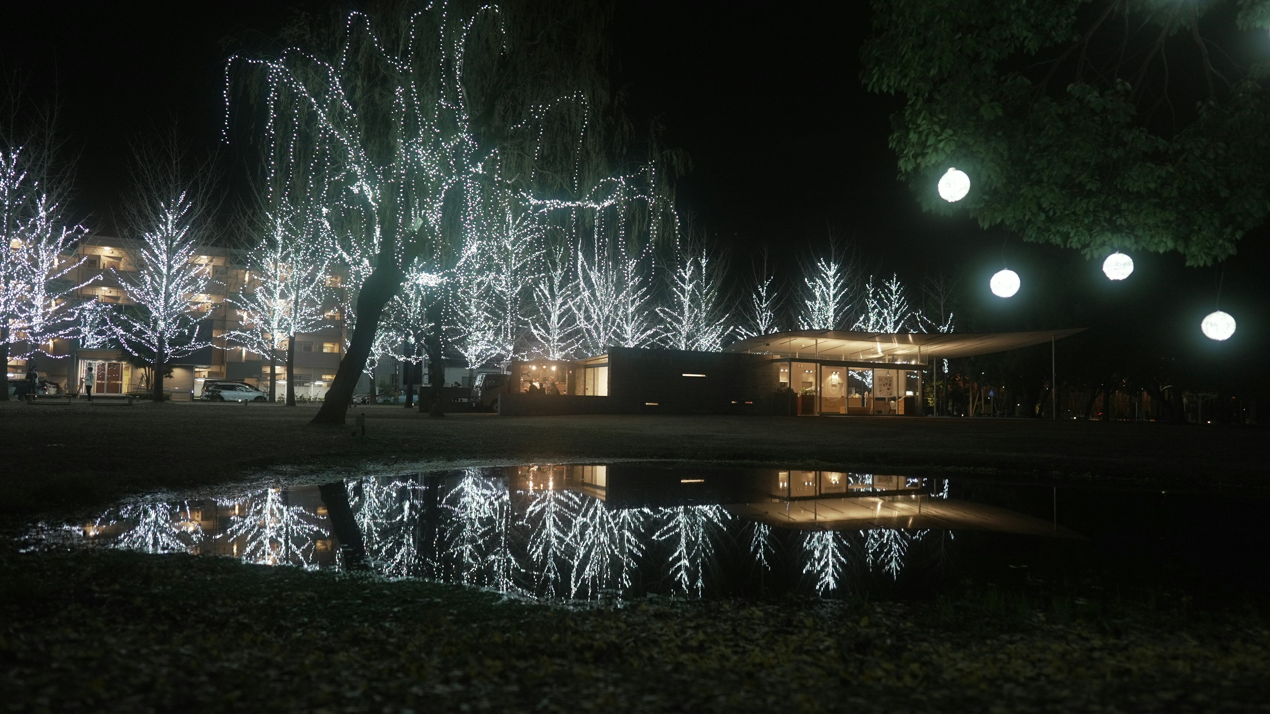 night park illumination with glowing lights reflected on water