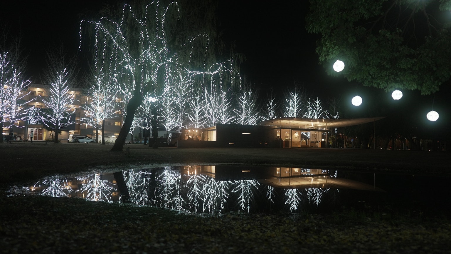 Illuminated trees in a night park with reflections in a pond