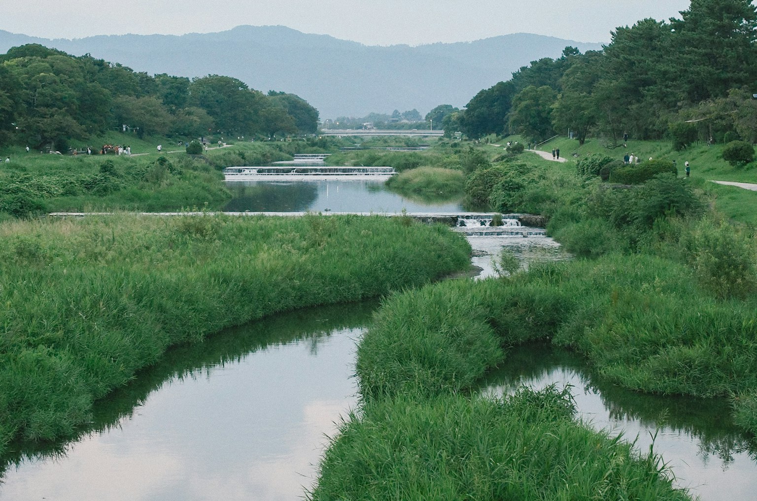 緑豊かな川と草地の風景、遠くに山々が見える