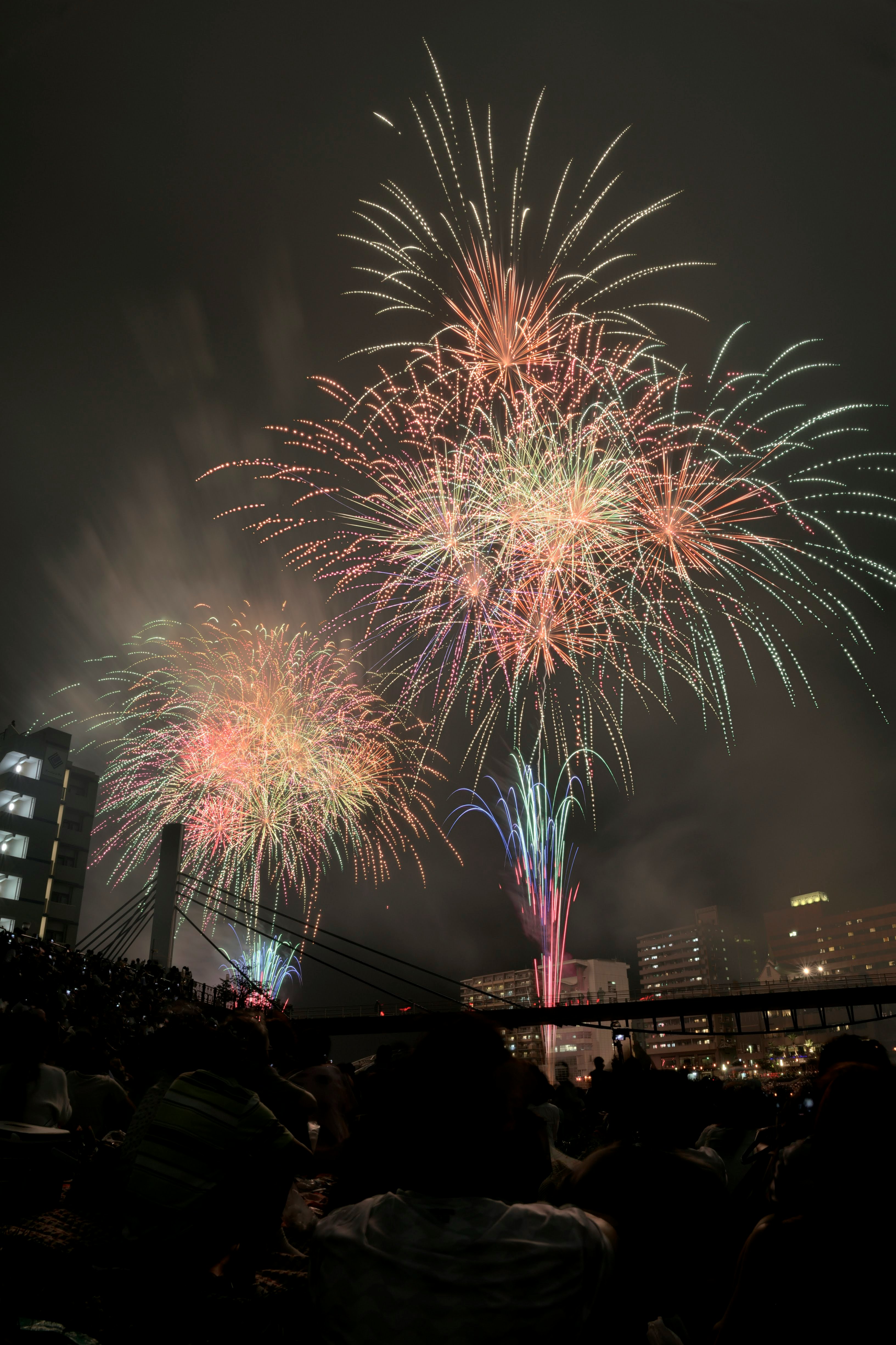 夜空に咲く花火と観客のシルエット