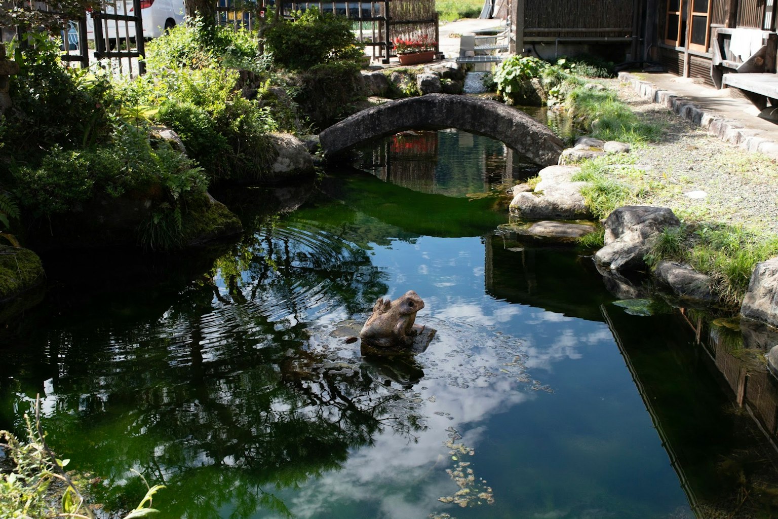 Escena de jardín sereno con un estanque y un pequeño puente de piedra