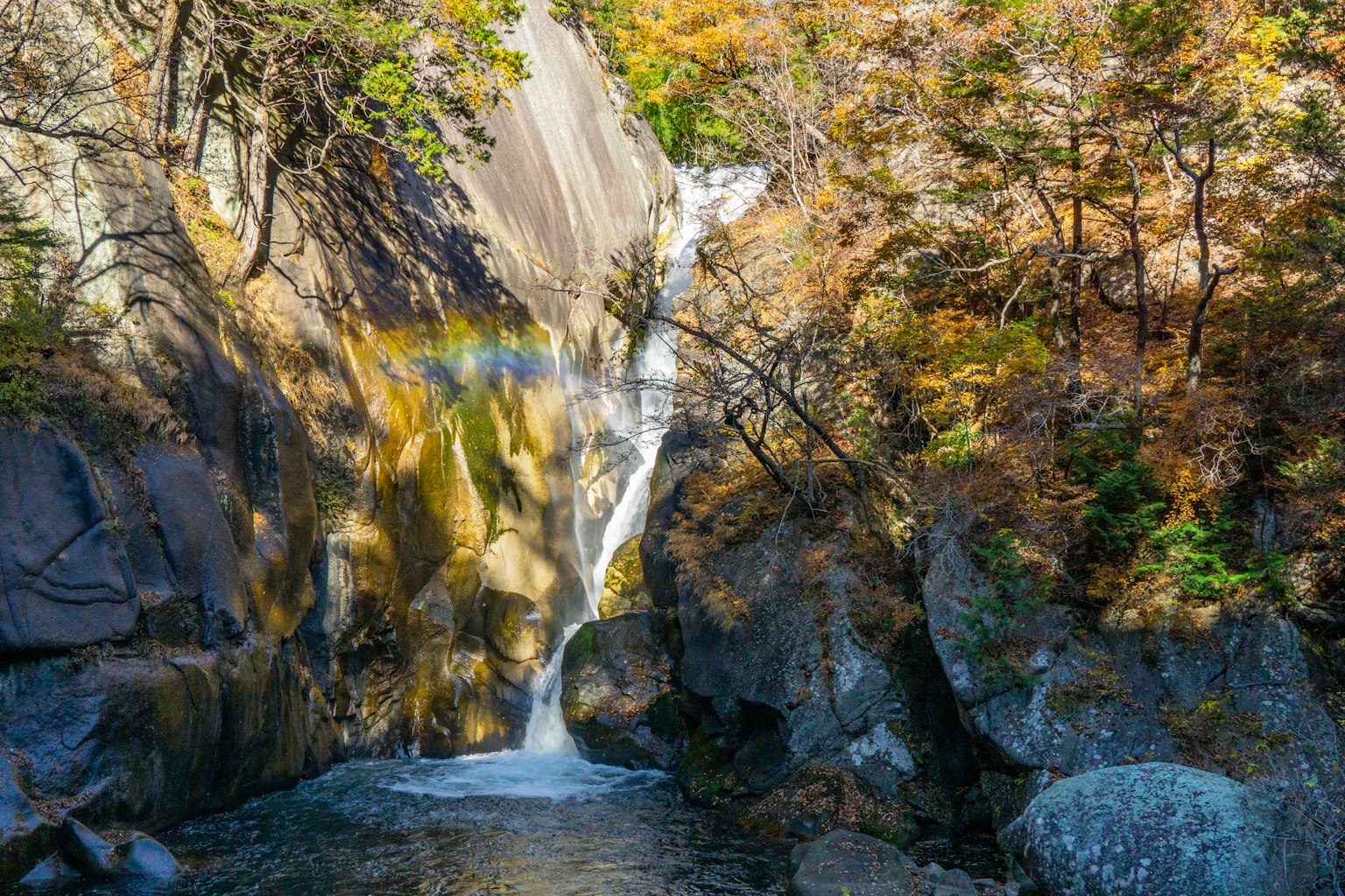 被五彩缤纷的秋叶环绕的风景瀑布