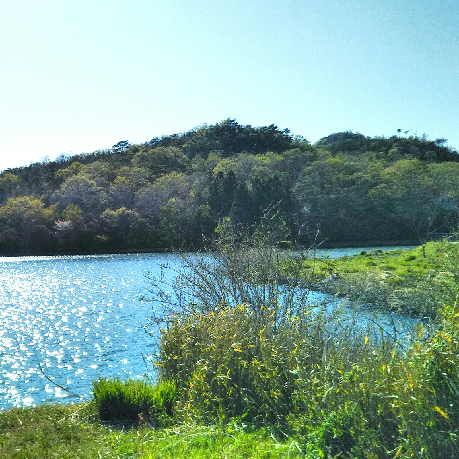 兵庫県三田市の山と池を望む自然景観