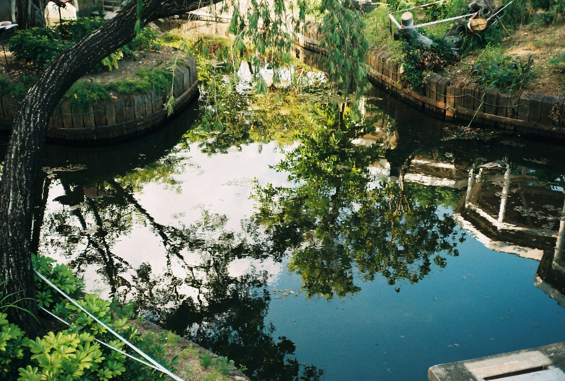 川沿いの石積みと緑に囲まれた水路の景色