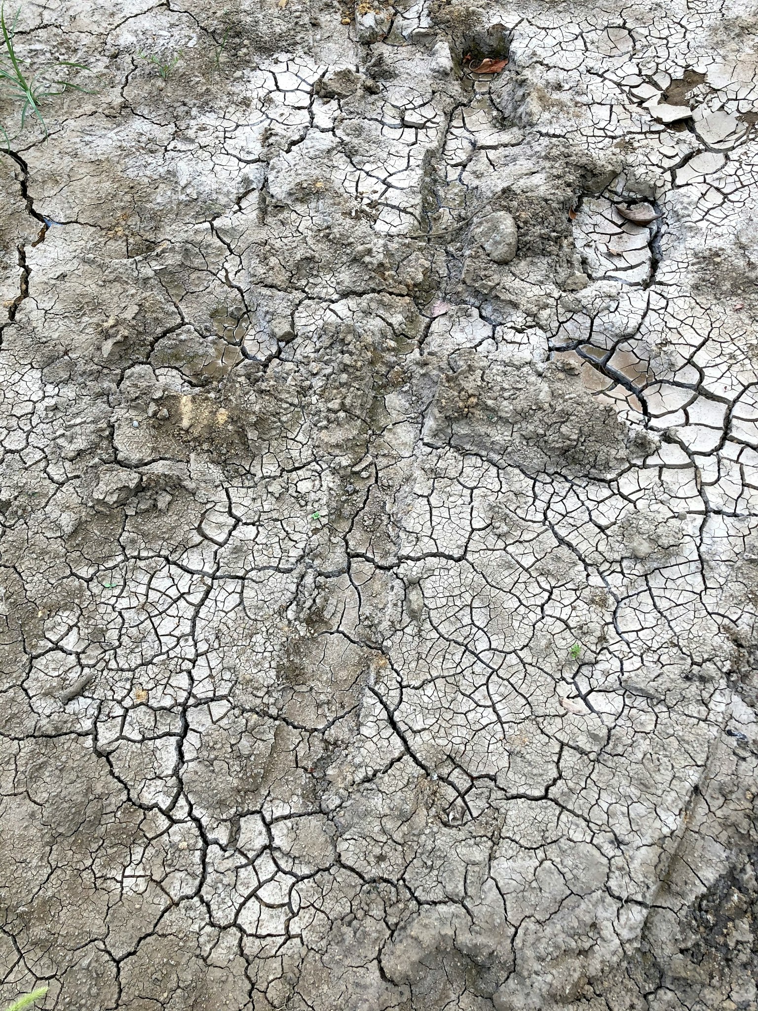 Gros plan sur un sol craqué montrant la texture de sol sec