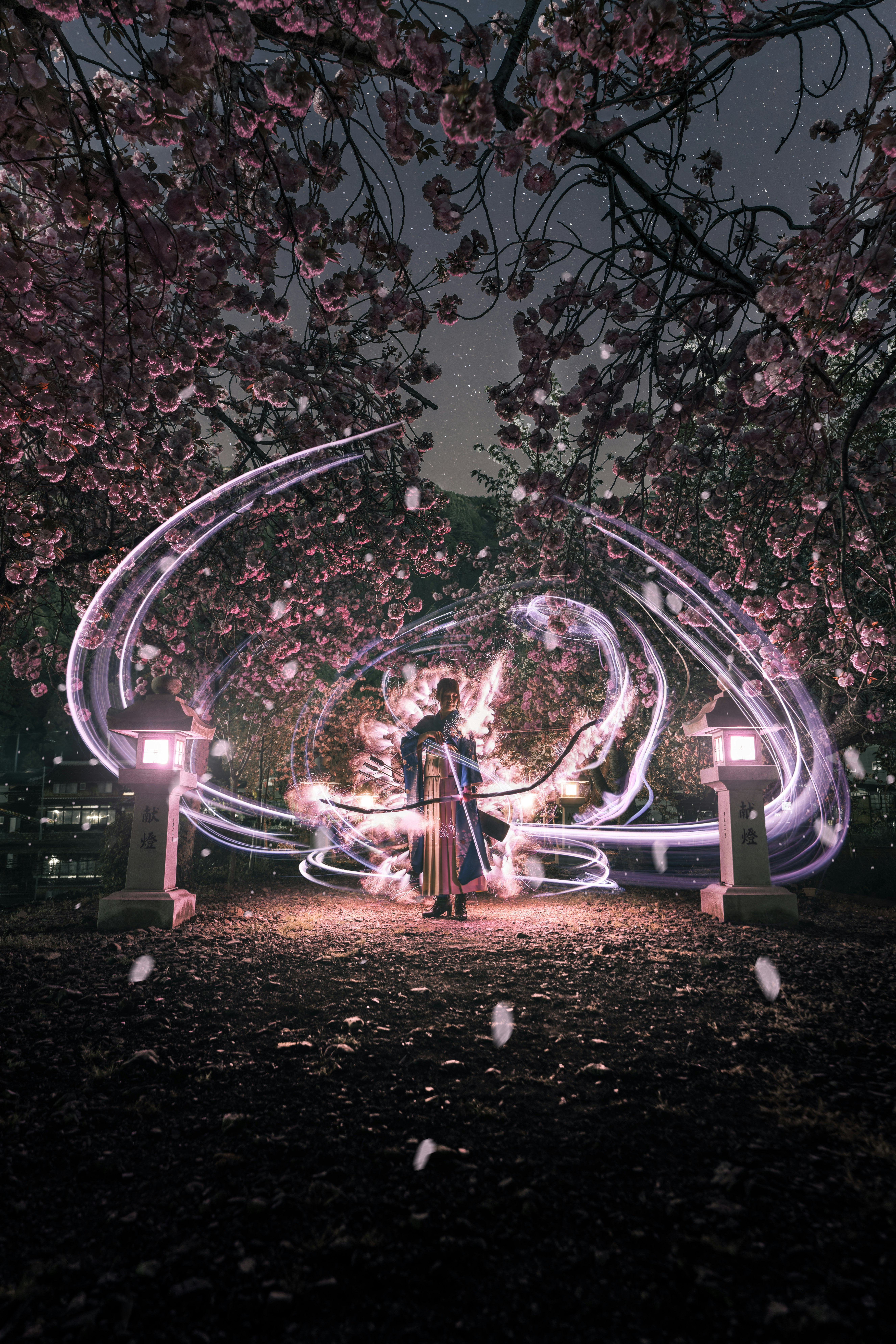 夜の公園で光の輪とライトペインティングをする人と八重桜の木
