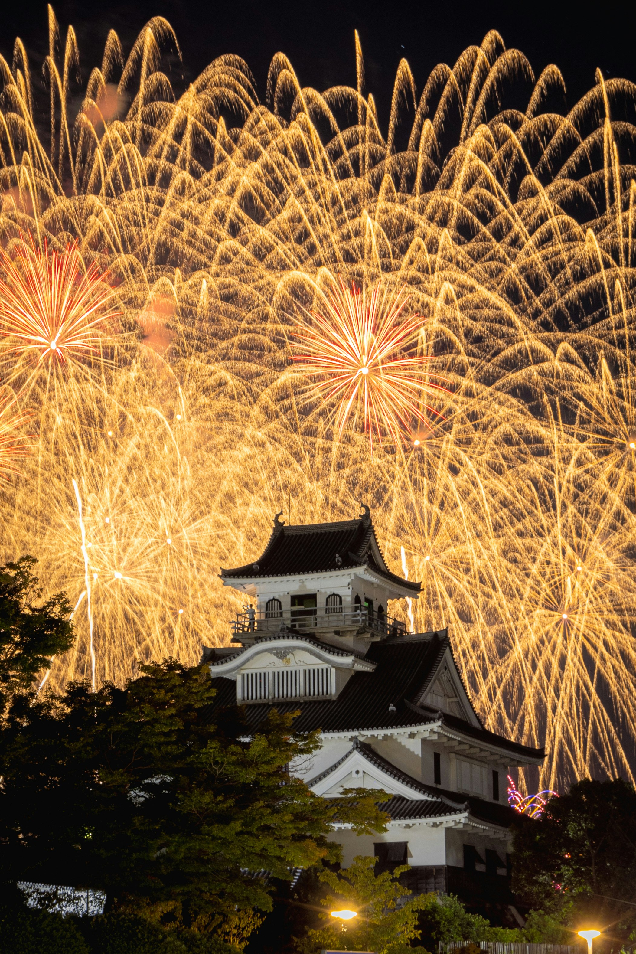 夜の花火と城郭風の建物が並ぶ庭園
