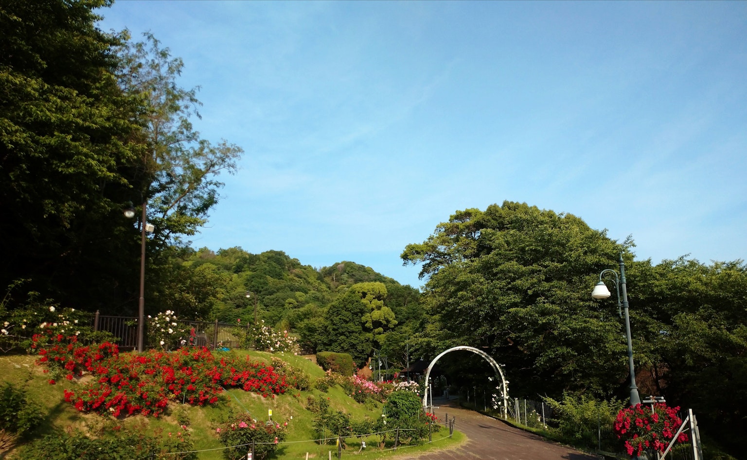 Vista panoramica di un parco con fiori colorati e vegetazione lussureggiante sotto un cielo blu