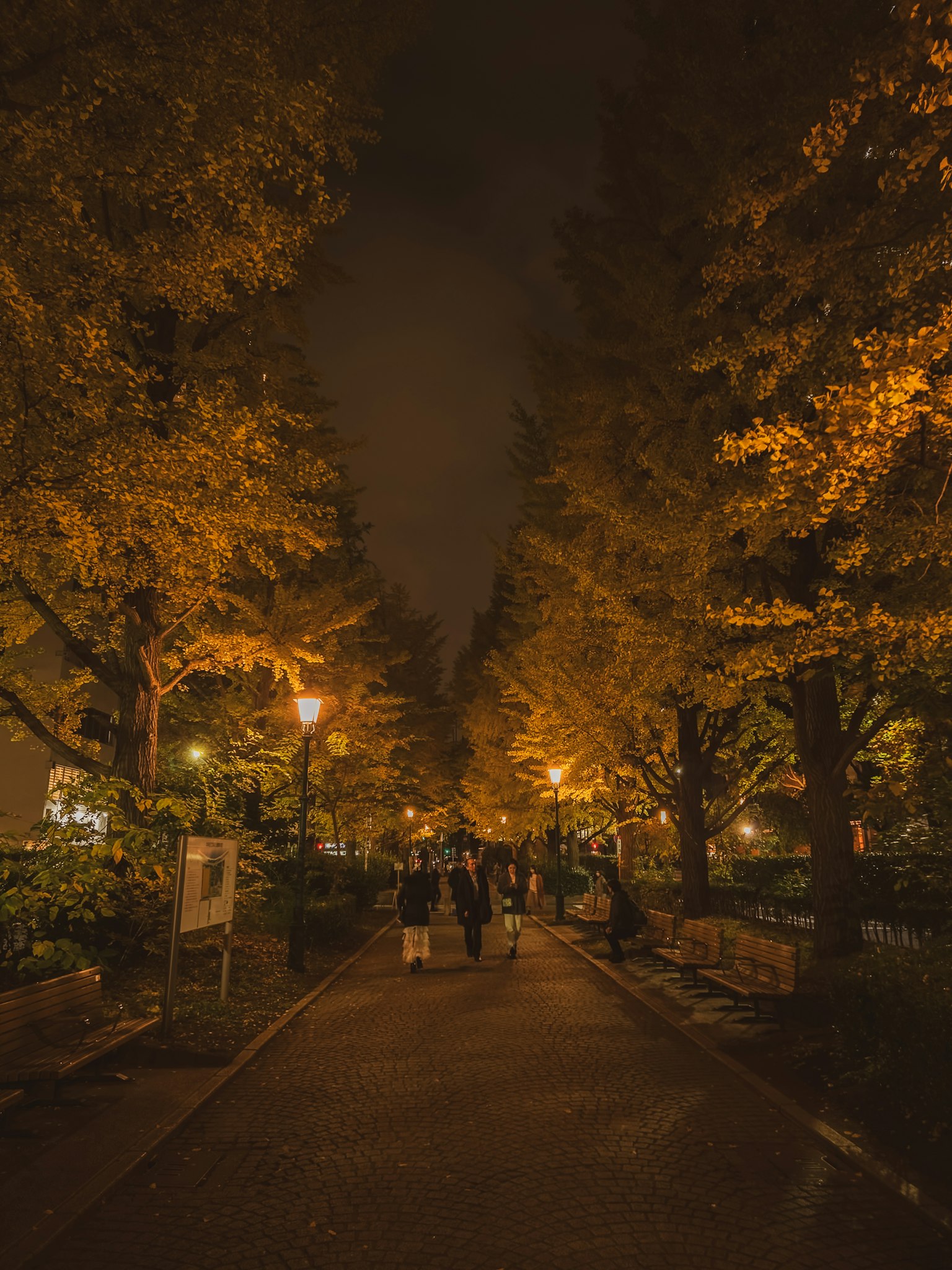 Weg in einem Park, beleuchtet von orangefarbenen Straßenlaternen und Bäumen in der Nacht