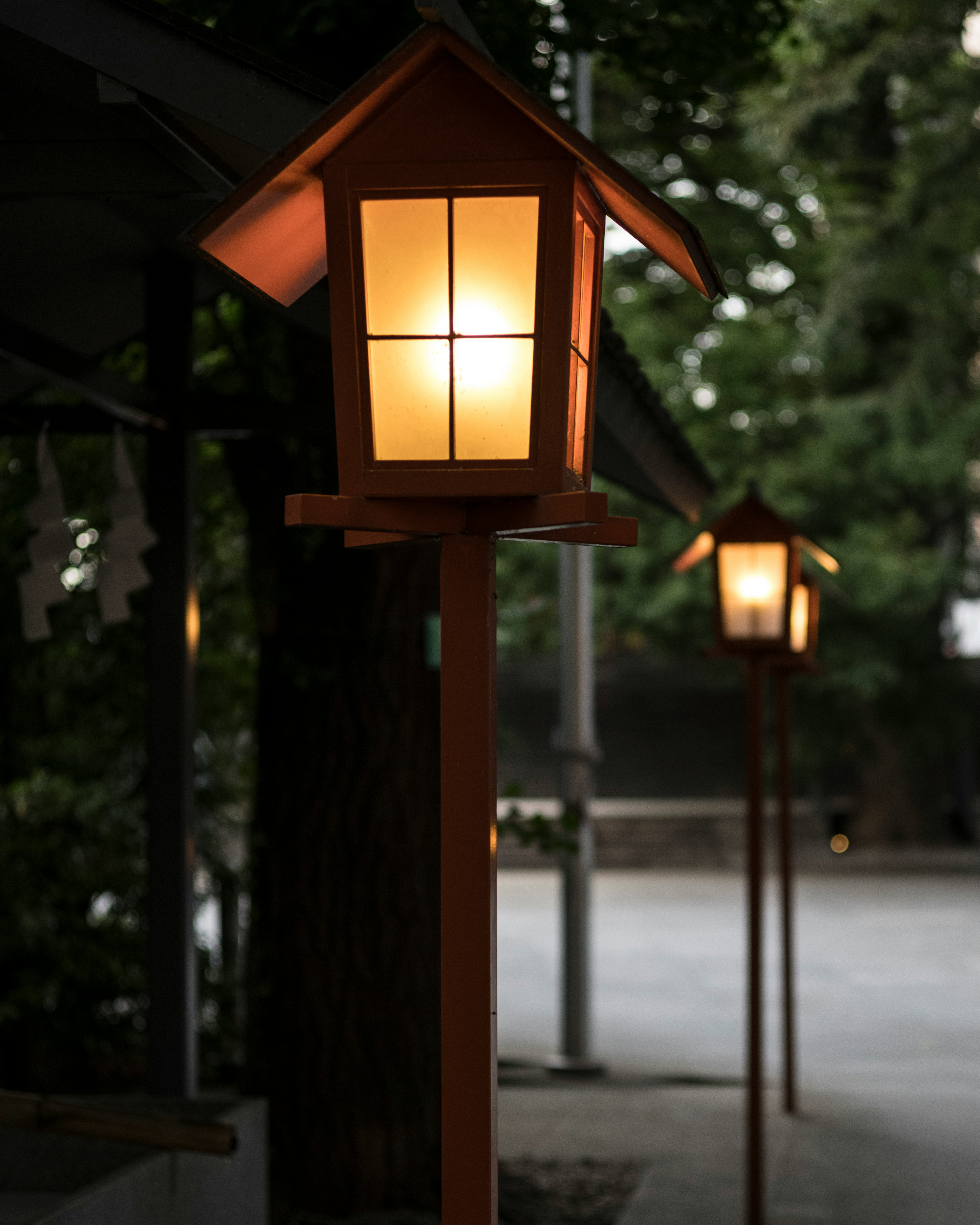 庭先に並ぶあたたかな灯りのランタン