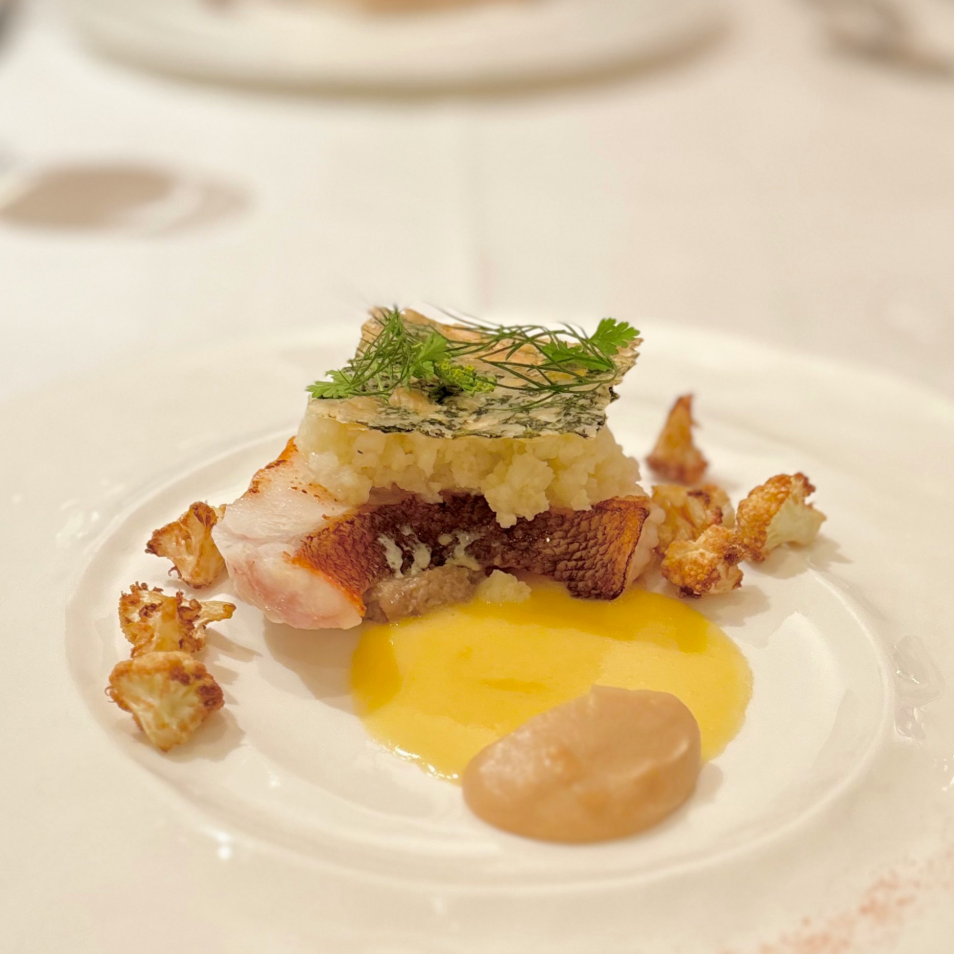 plated dish with egg and meat on a white plate