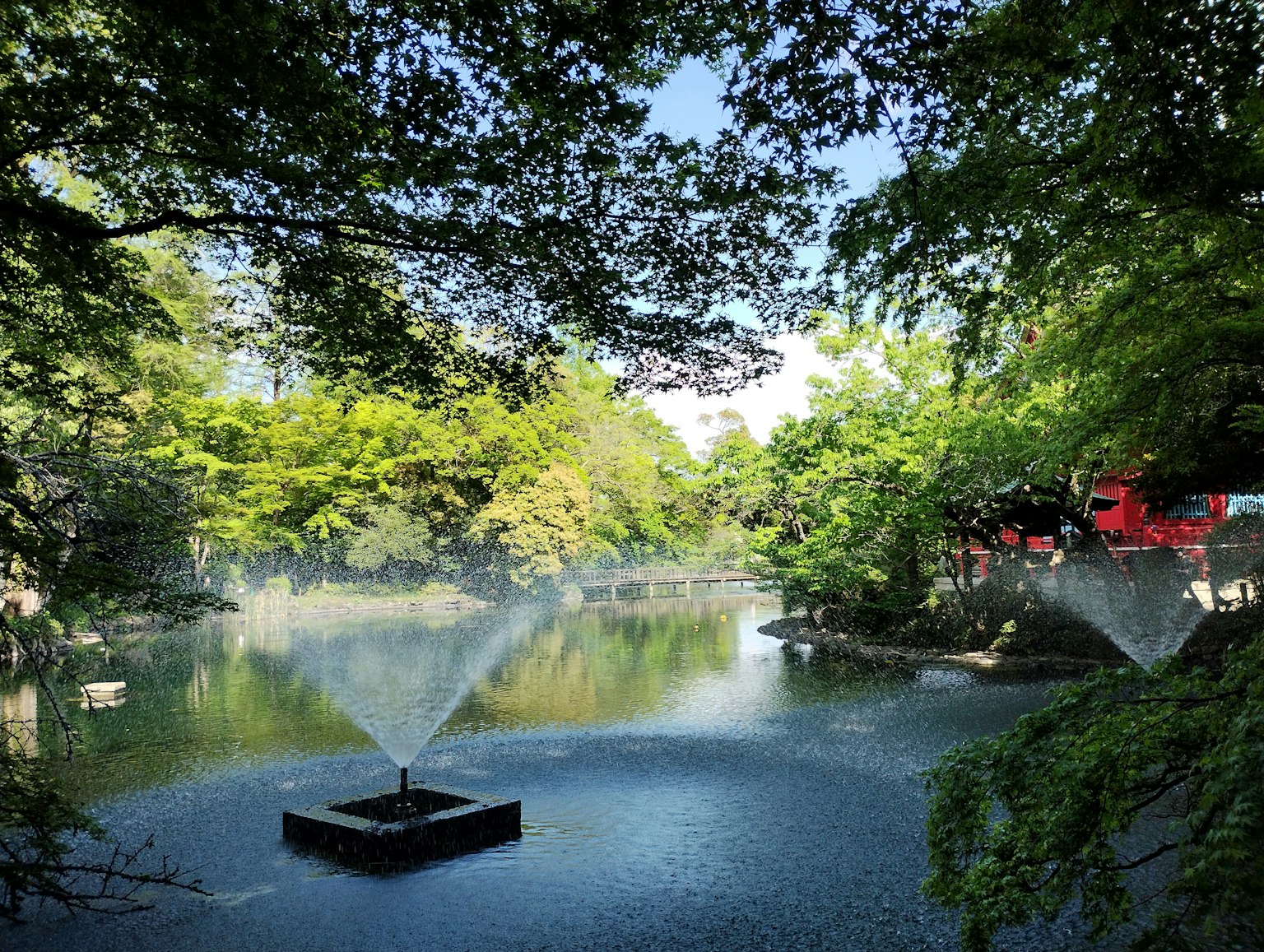 Kolam tenang di taman dengan air mancur dikelilingi pohon hijau rimbun
