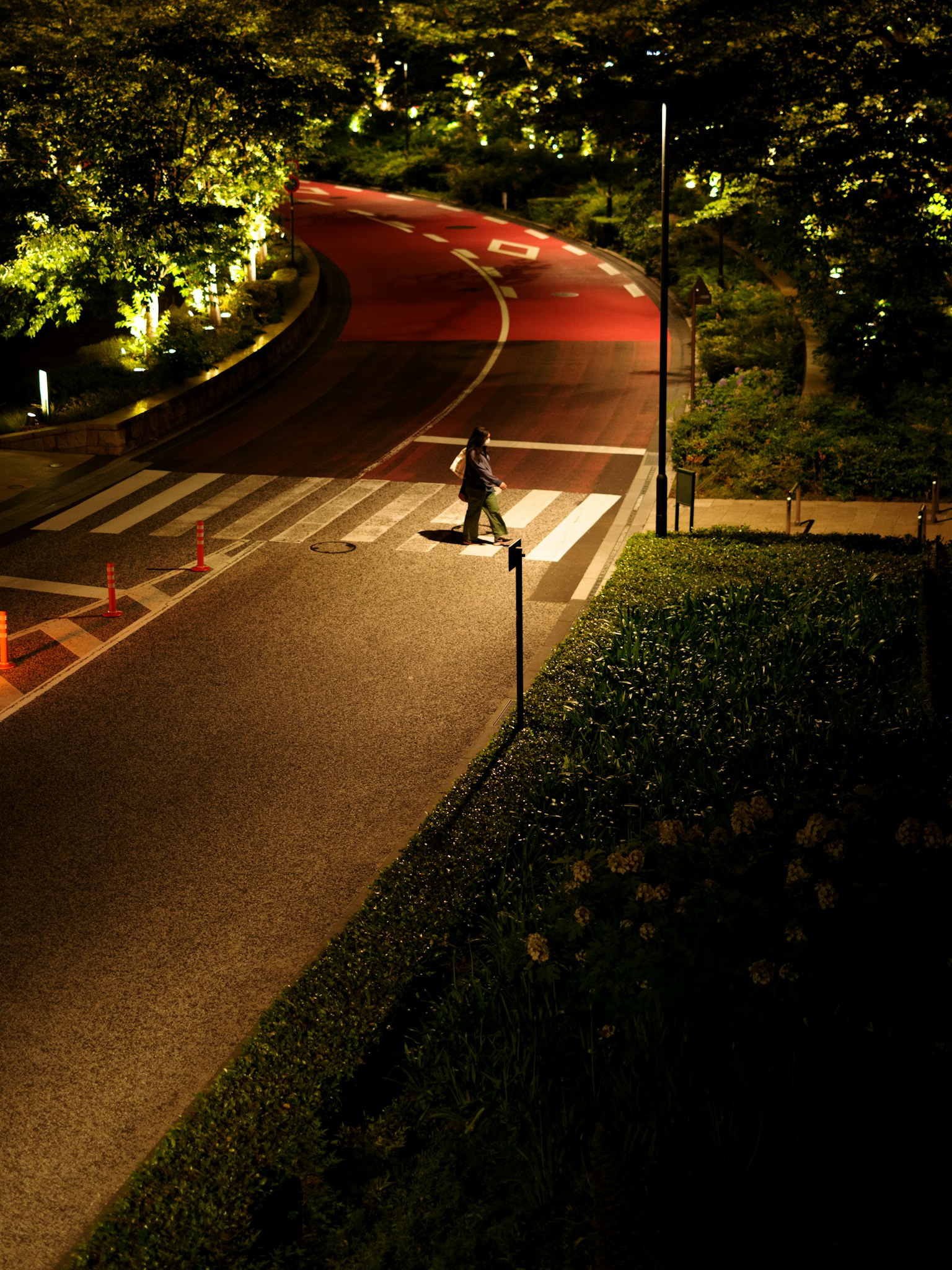 Une personne traversant un passage piéton la nuit avec une route sinueuse dans un parc