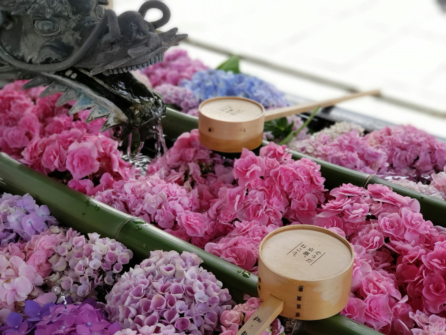 Colorful flower petals arranged with small wooden containers placed on top