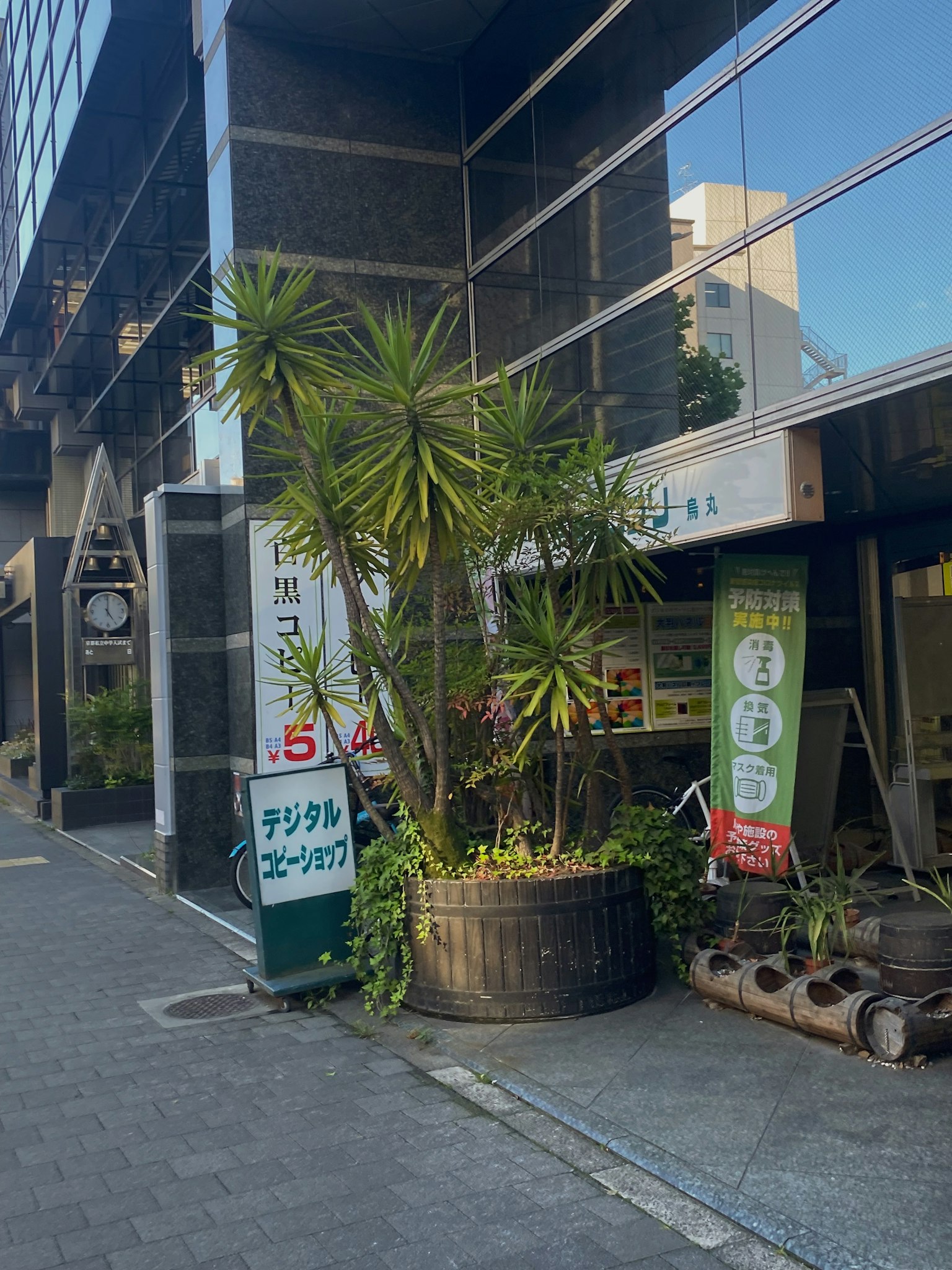 Entrada de un edificio con grandes plantas y carteles