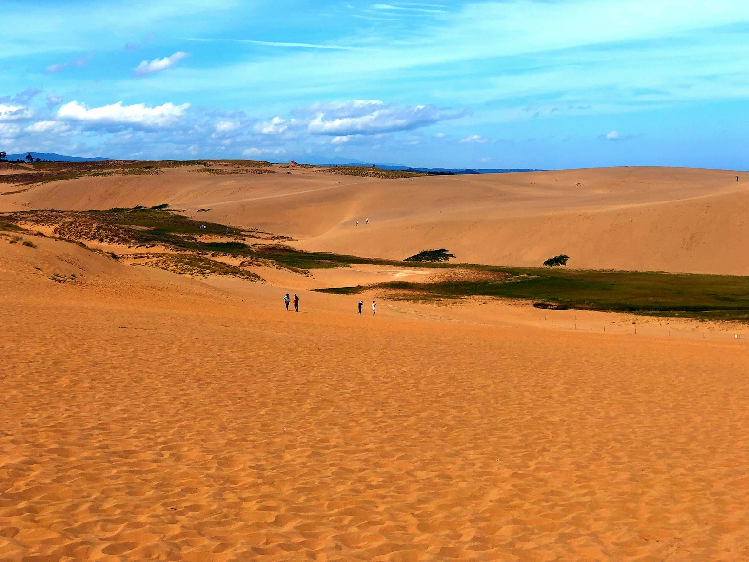 Vastas dunas de arena con hierba verde y cielo azul