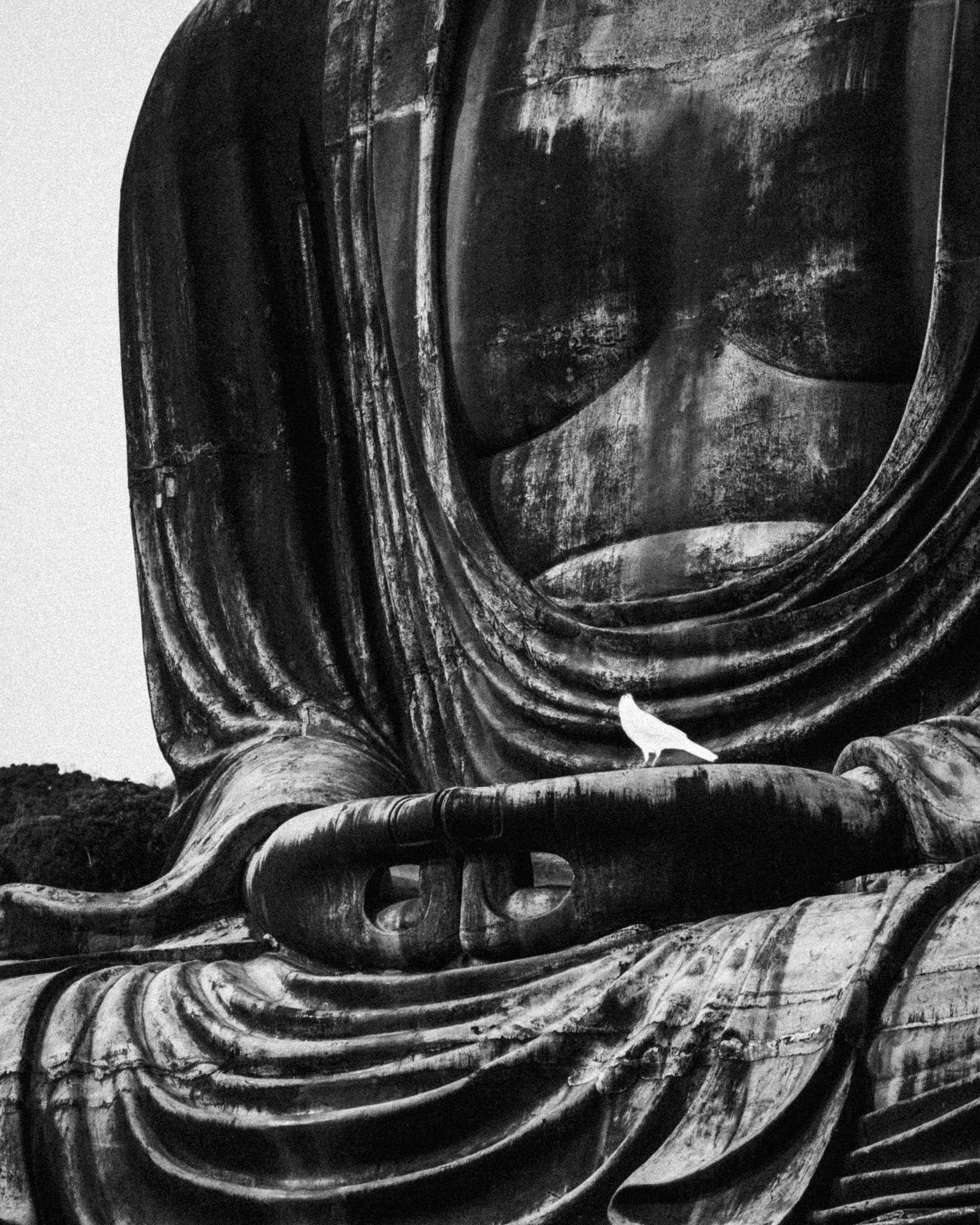 mani di un Buddha seduto avvolto in un drappo