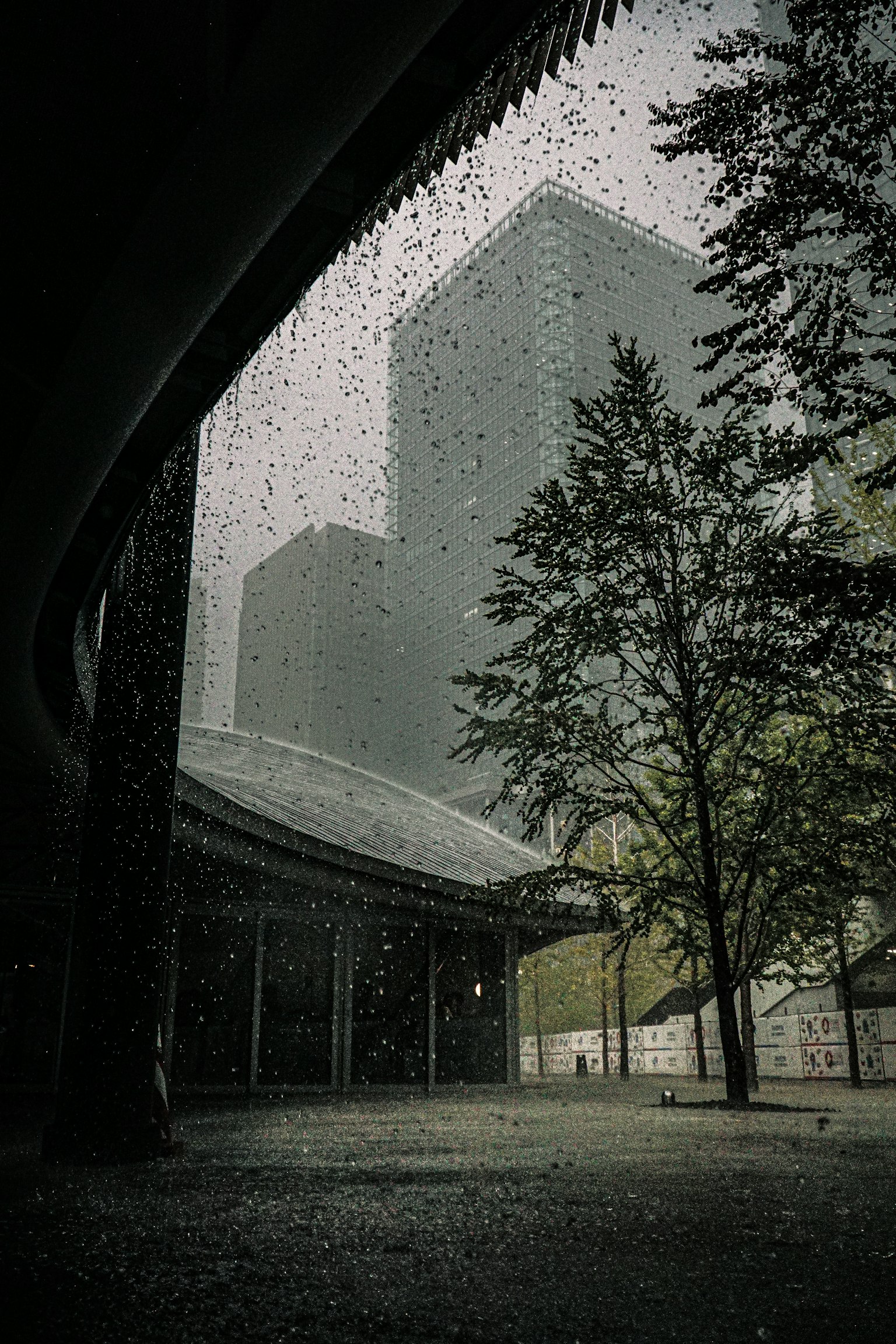 photo-kWmgjgCCEhsVaeOiHmQ9-image