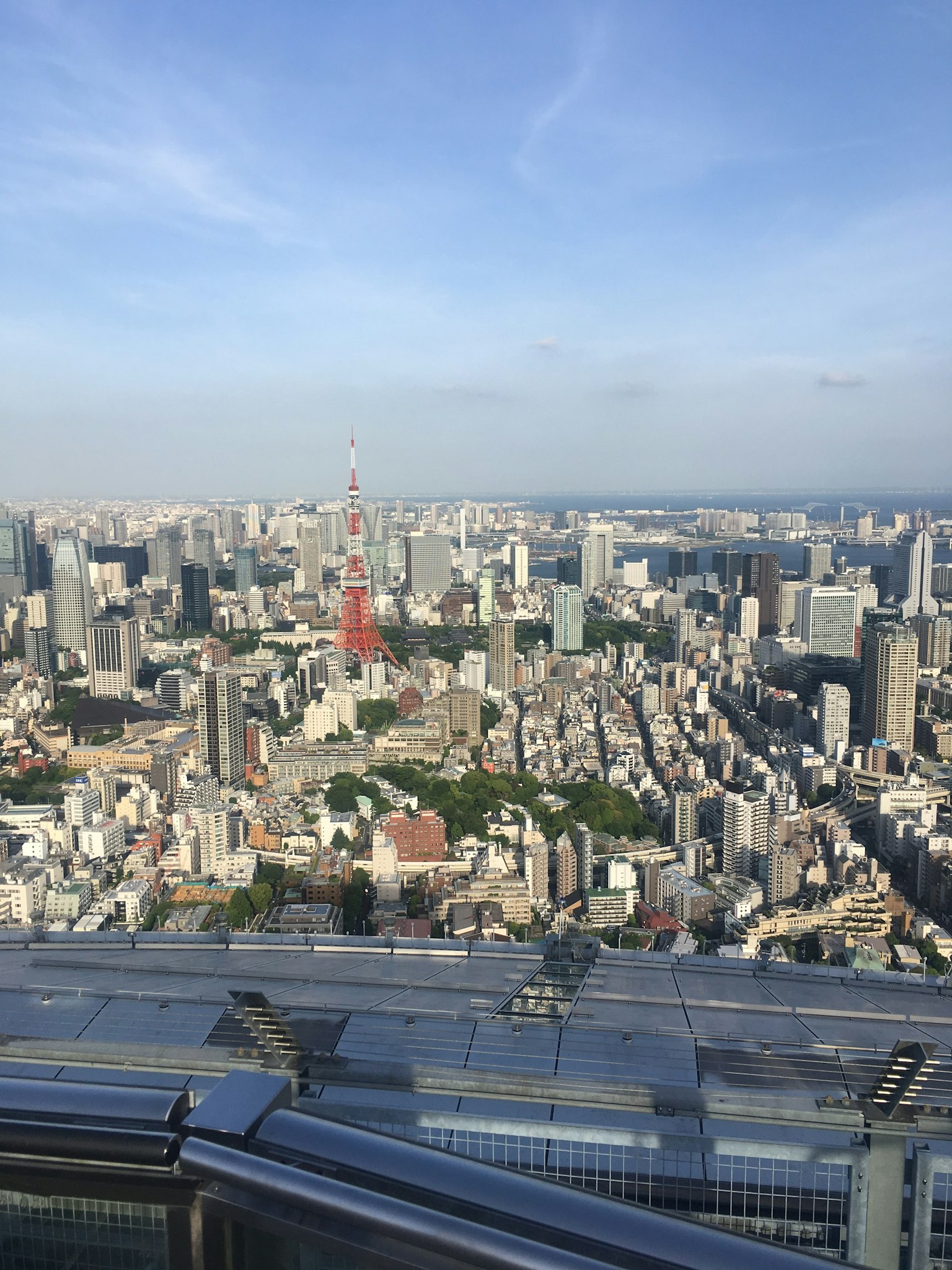 Vue aérienne de la skyline de Tokyo avec la Tour de Tokyo et des espaces verts