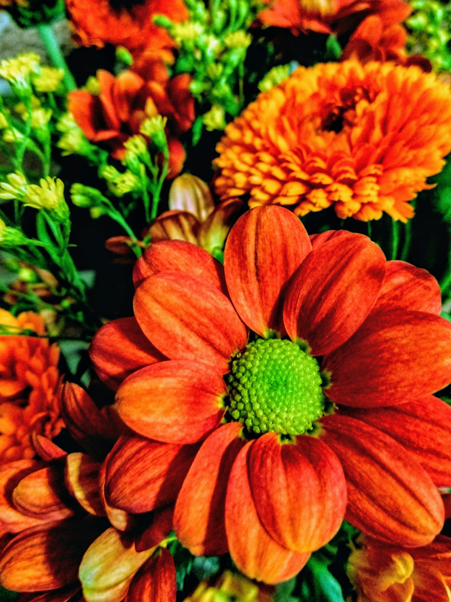 Gros plan de fleurs orange vibrantes dans un bouquet