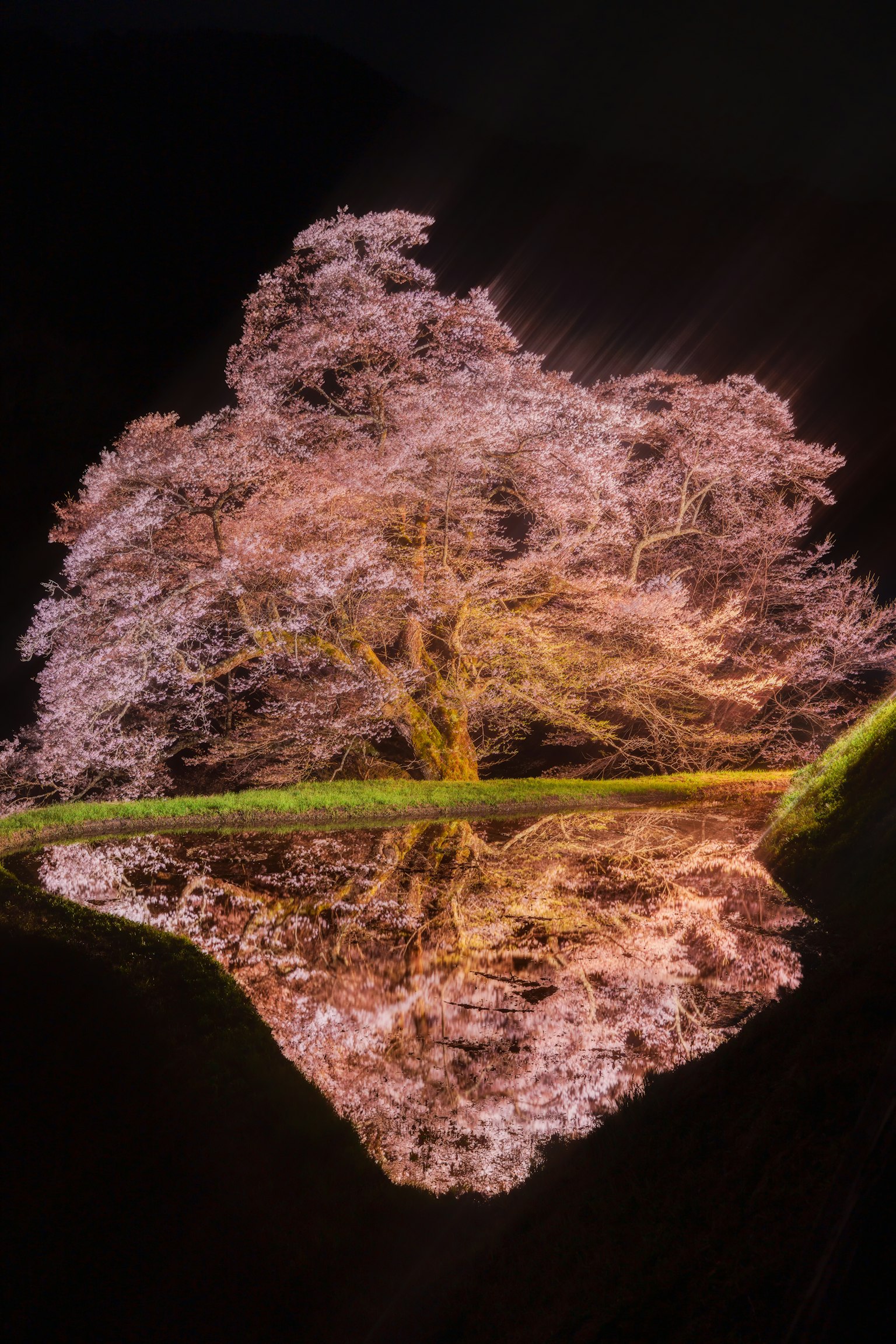 photo-kY7MOHP8XrRUlvuPLTKG-image