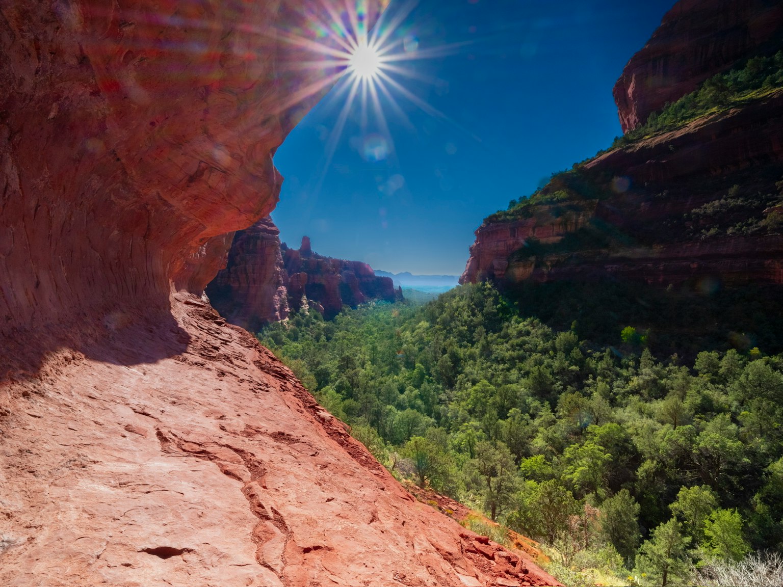 Vista escénica de un cañón con rocas rojas y un bosque verde brillante Sol brillando en un cielo azul claro