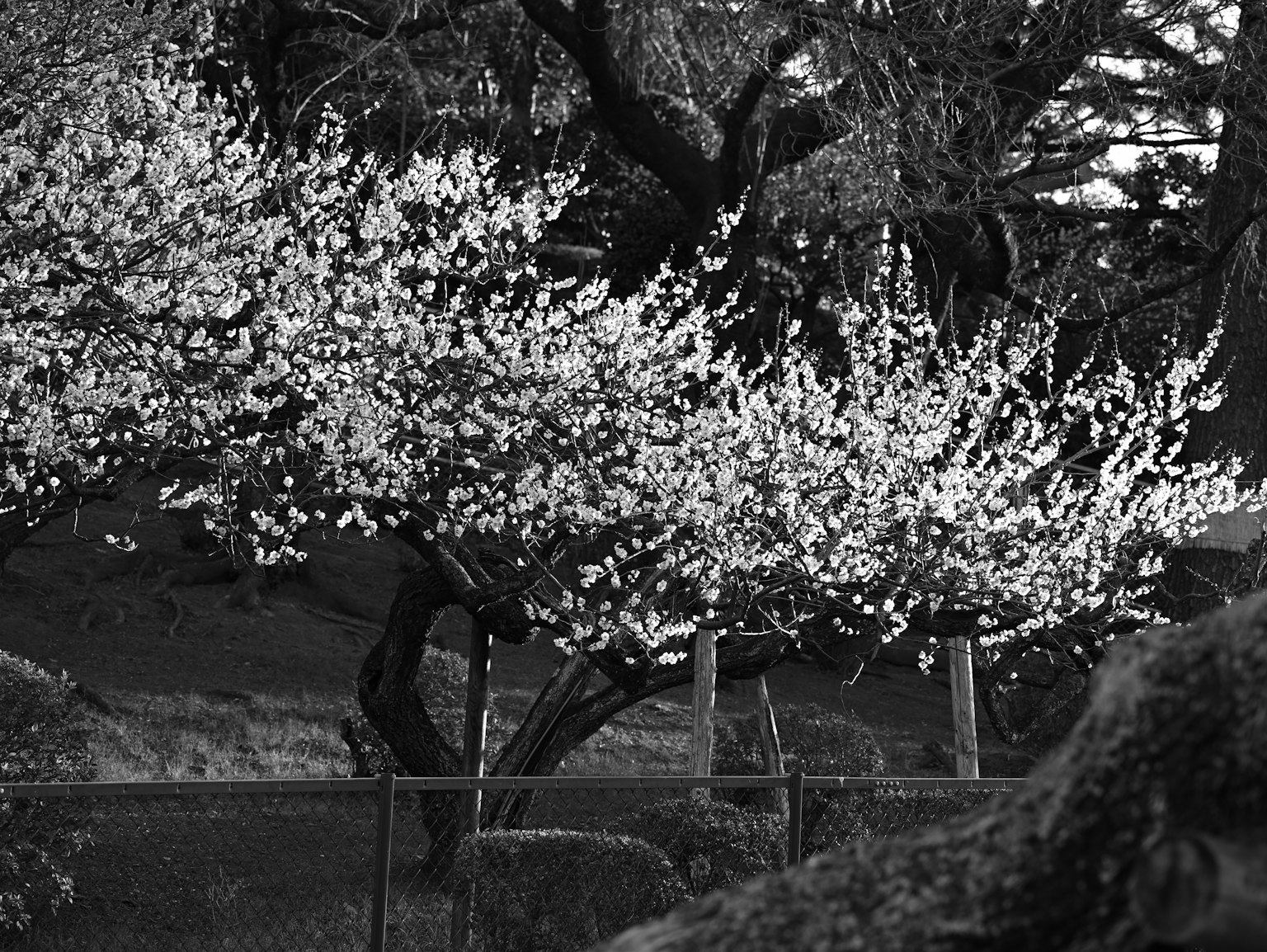 photo-kYpGRvhsy1MwtuZ8cgnn-image