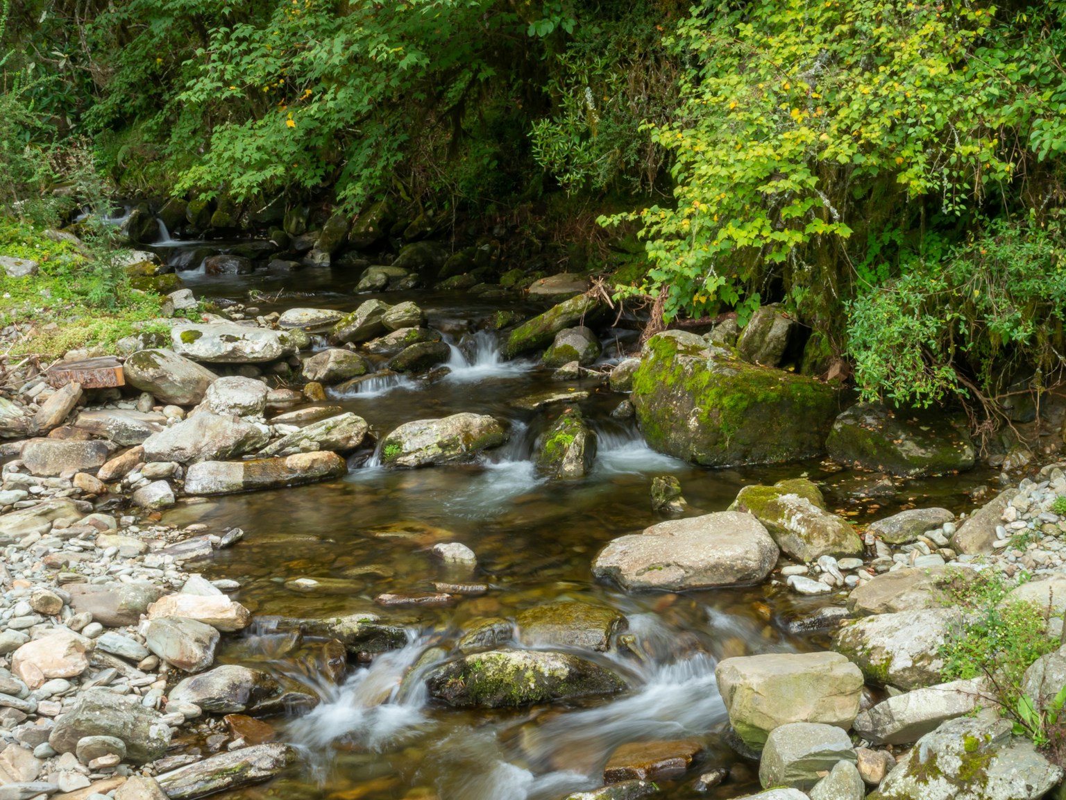 Vue pittoresque d'un ruisseau traversant une verdure luxuriante avec des rochers et de l'eau qui coule