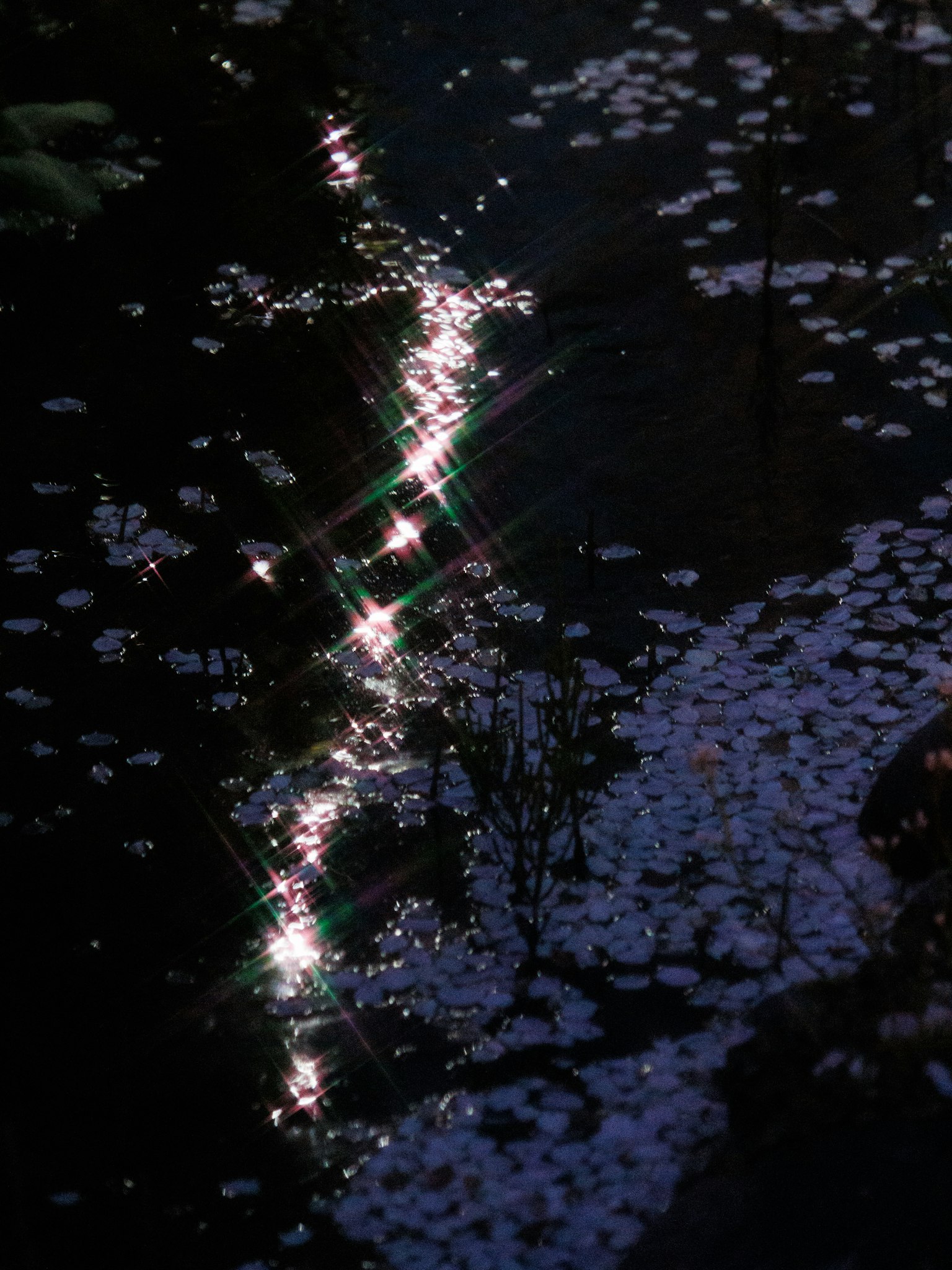photo-kZMkiLw7jGmHk2X9jVf6-image