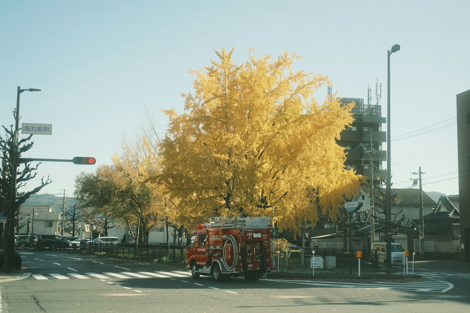 Kreuzung mit einem lebhaften Ginkgo-Baum und einem Feuerwehrauto
