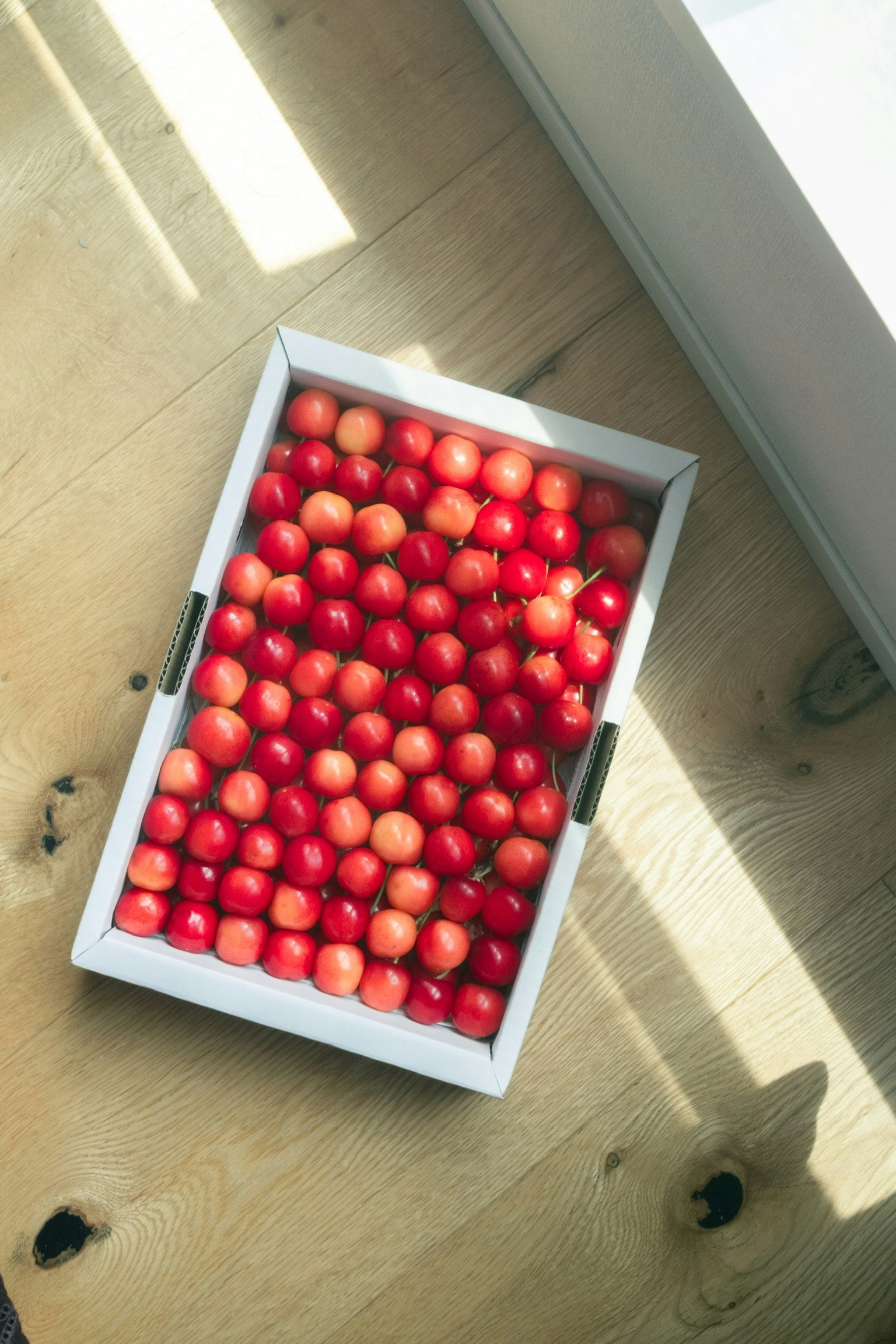 photo-ka0wFsAmlUc2loM2booO-image