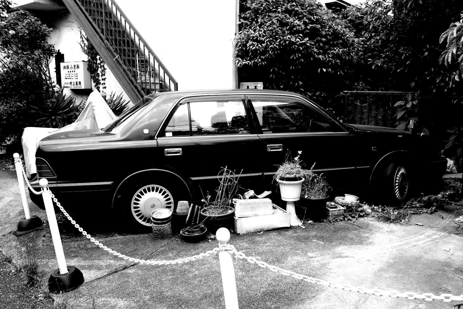 Une vieille voiture noire entourée de plantes et de pots
