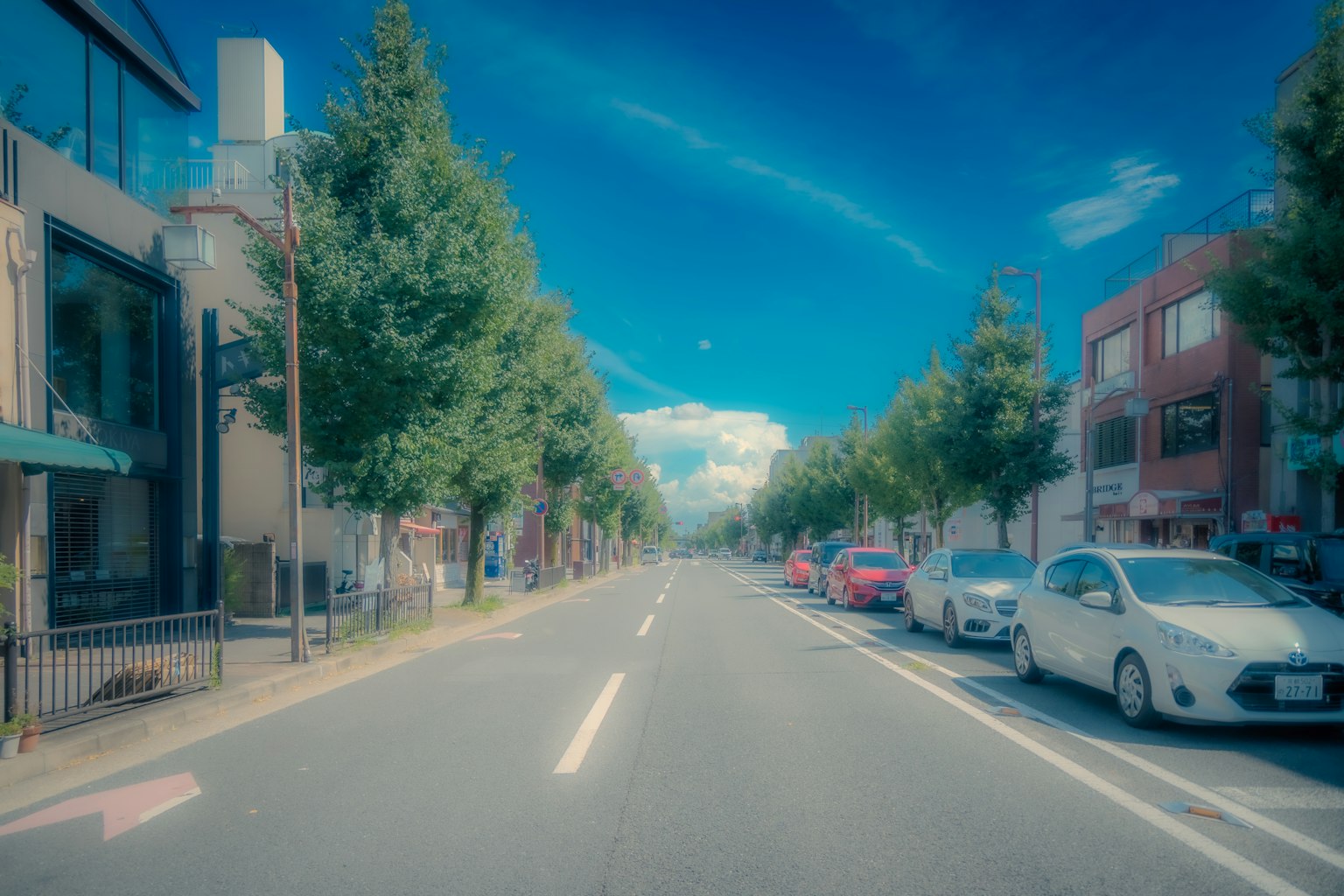Vista di una strada con alberi e auto parcheggiate sotto un cielo blu
