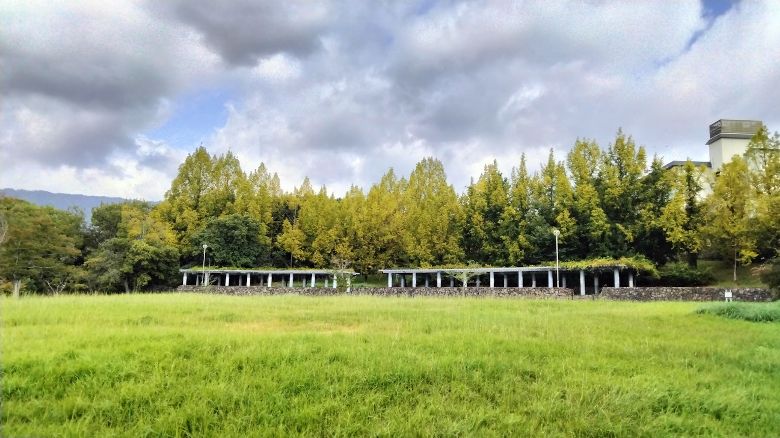 绿色草地和黄色树木与白色建筑的风景